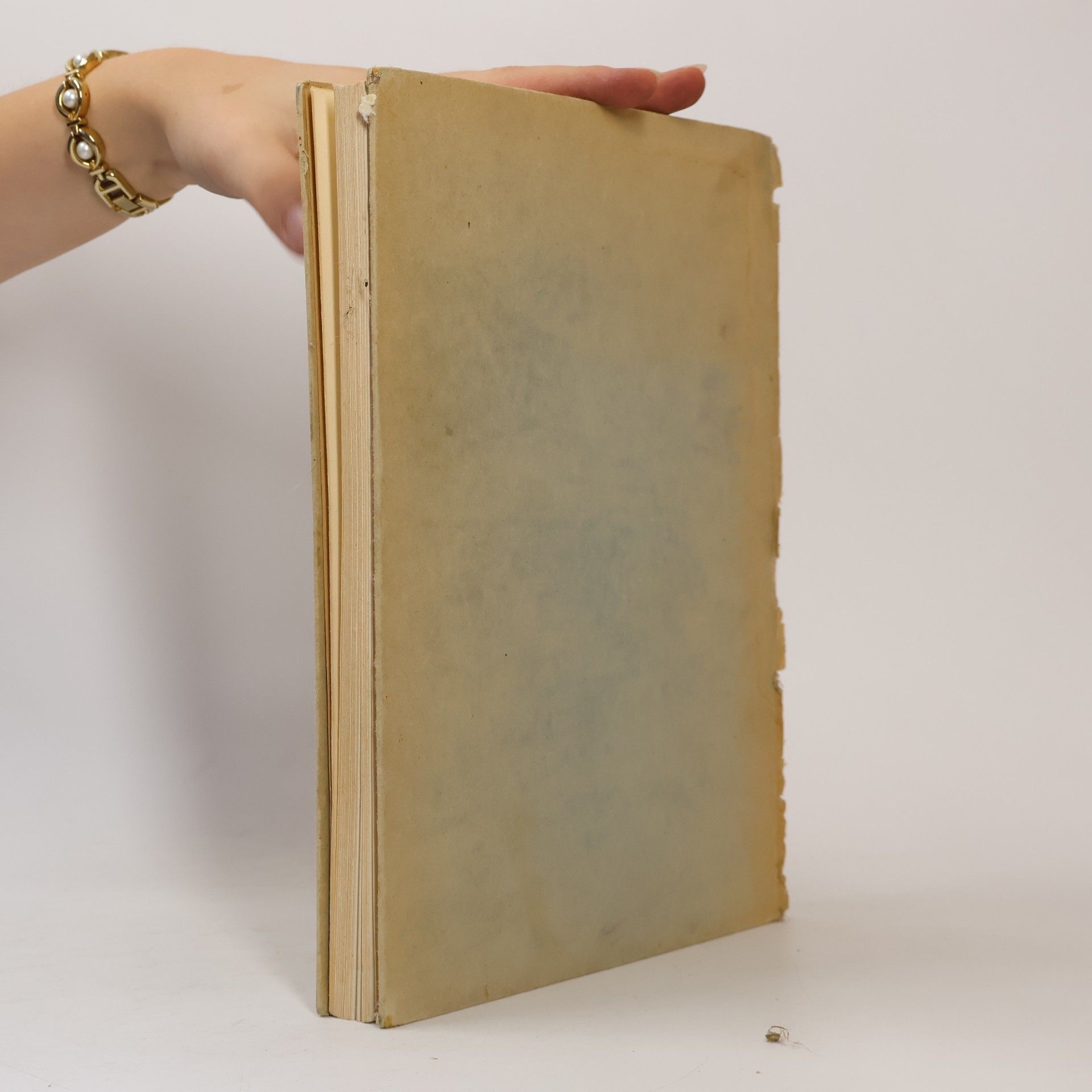 AA.VV. Bildnisse des 16. Jahrhunderts