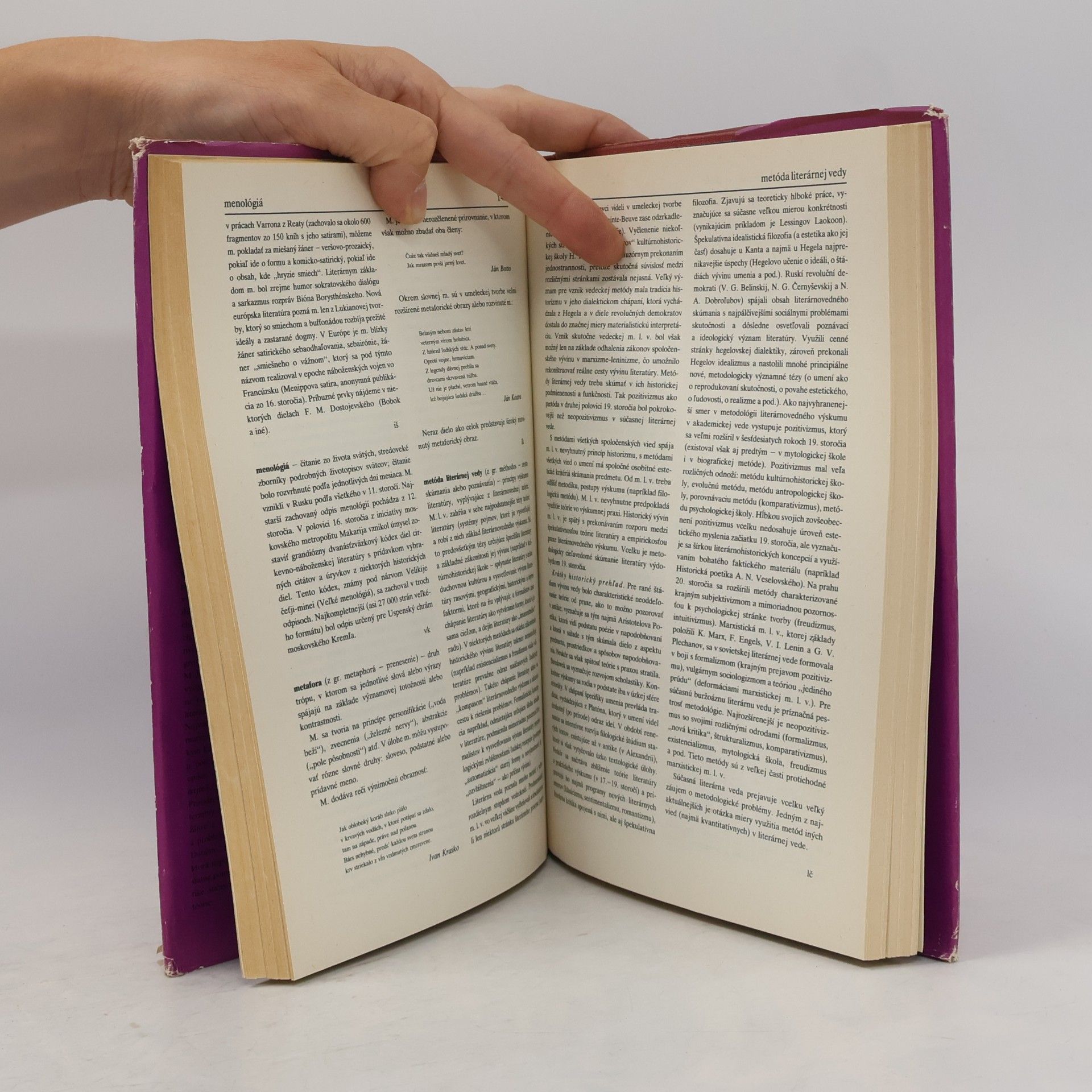 Autorenkollektiv Slovník literárnovedných termínov