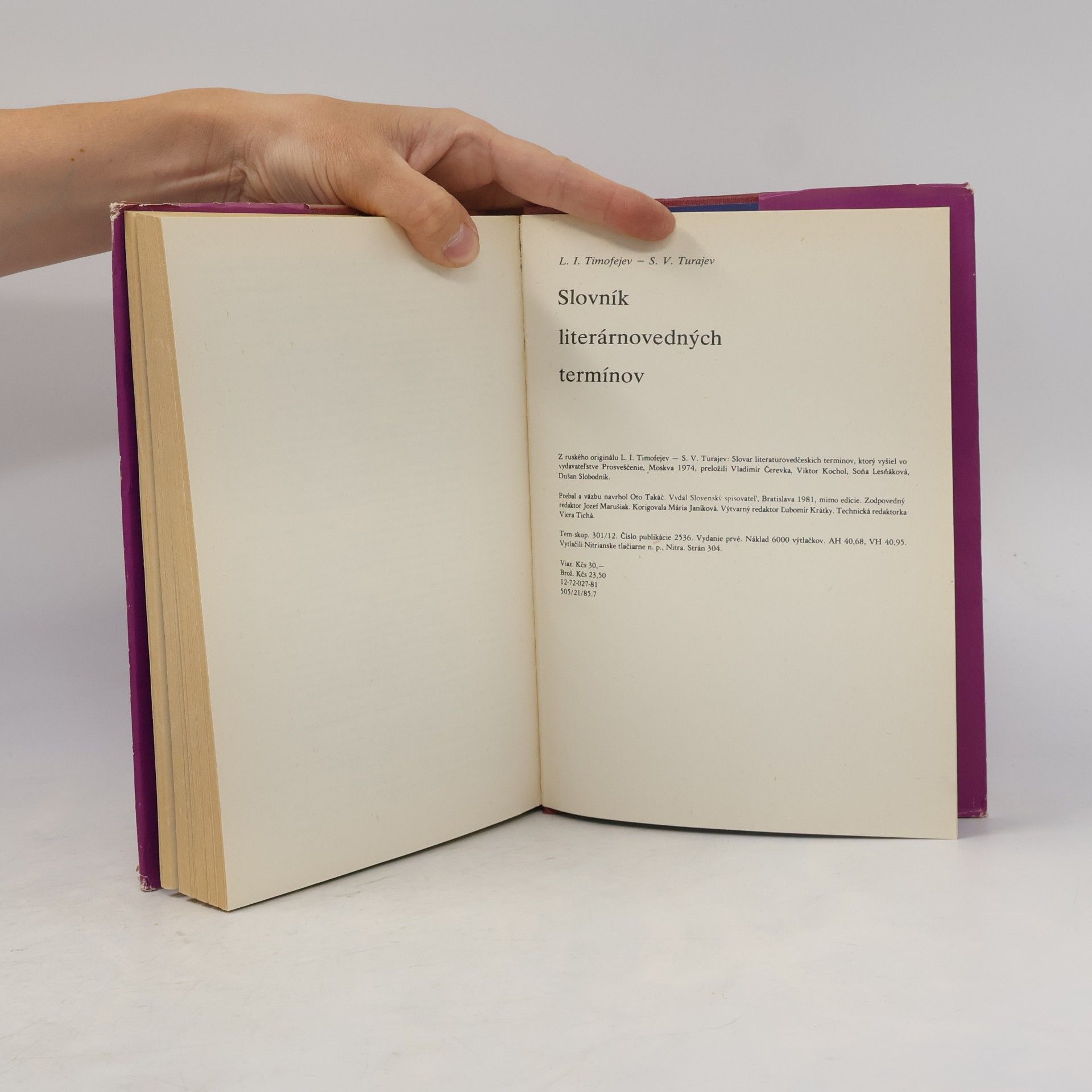 Autorenkollektiv Slovník literárnovedných termínov