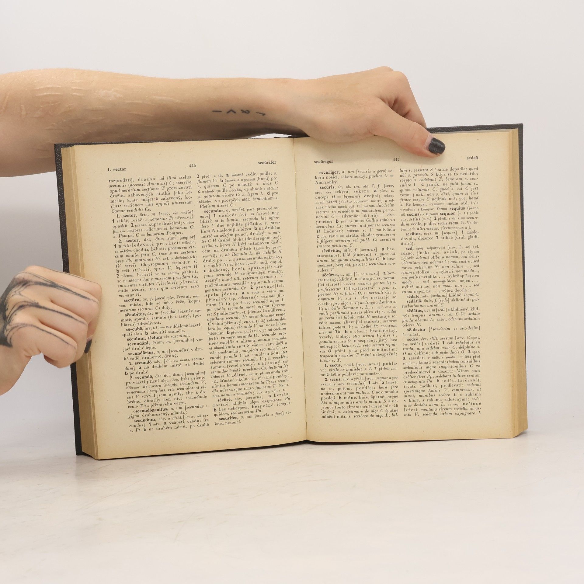 Various authors Latinsko-český slovník L-Z