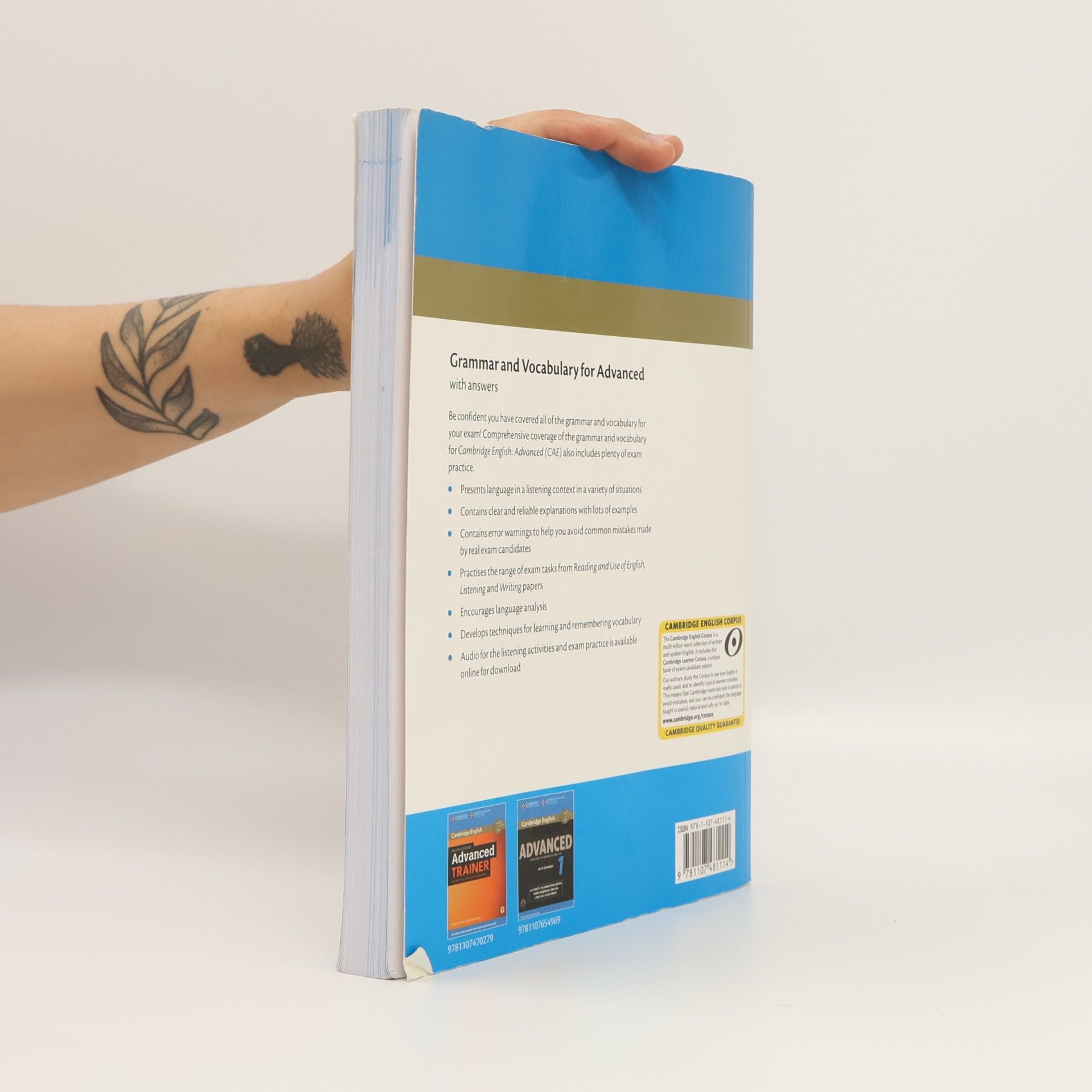 Martin Hewings Grammar and vocabulary for advanced
