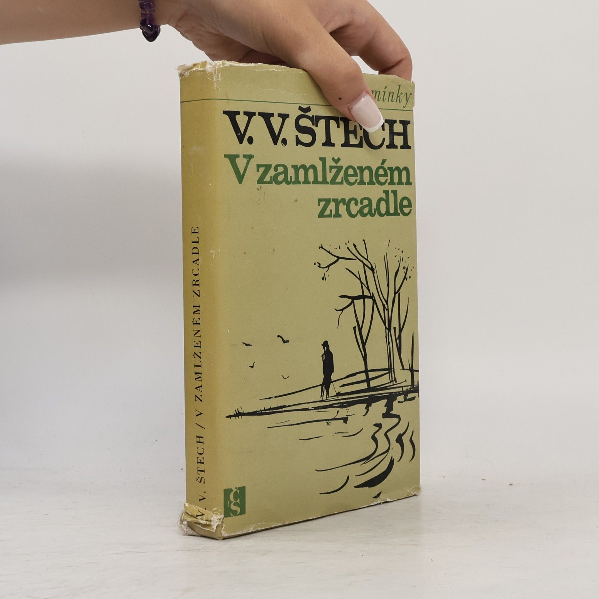 V. V. Štech V zamlženém zrcadle 1