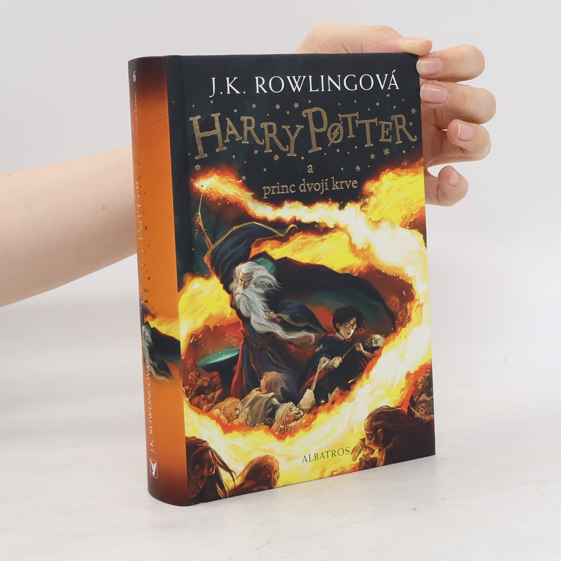 Pavel Medek Harry Potter a princ dvojí krve