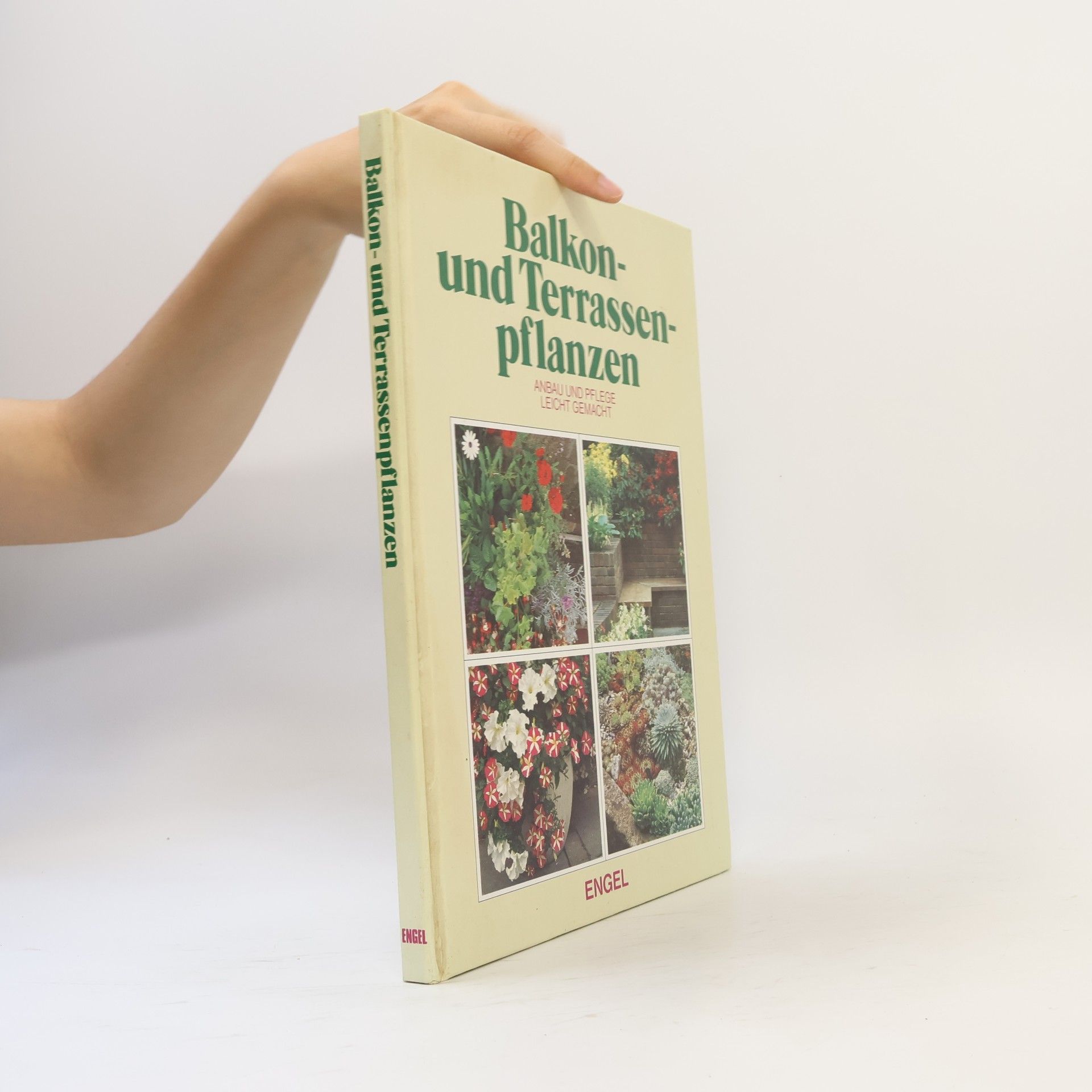 Collectif d'auteurs Balkon und Terrassenpflanzen