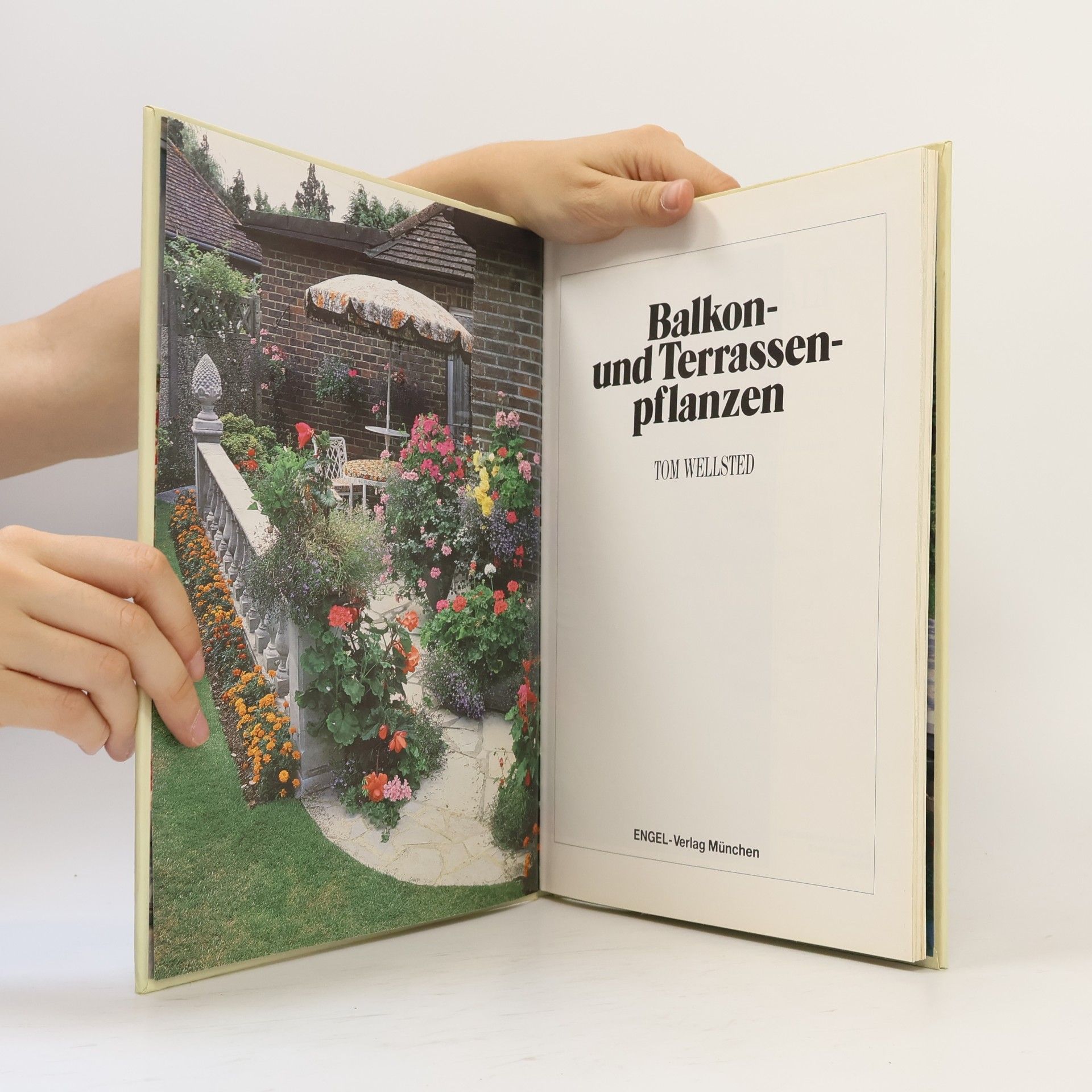 Autorenkollektiv Balkon und Terrassenpflanzen