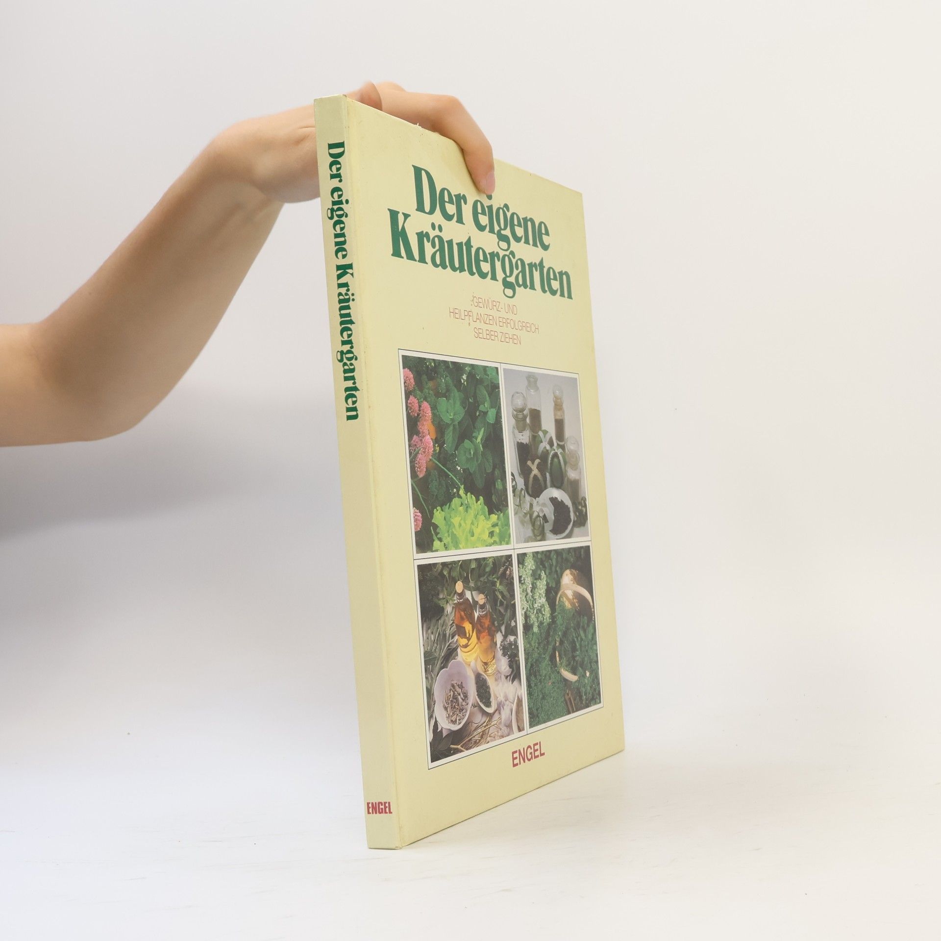 Collectif d'auteurs Der eigene Kräutergarten