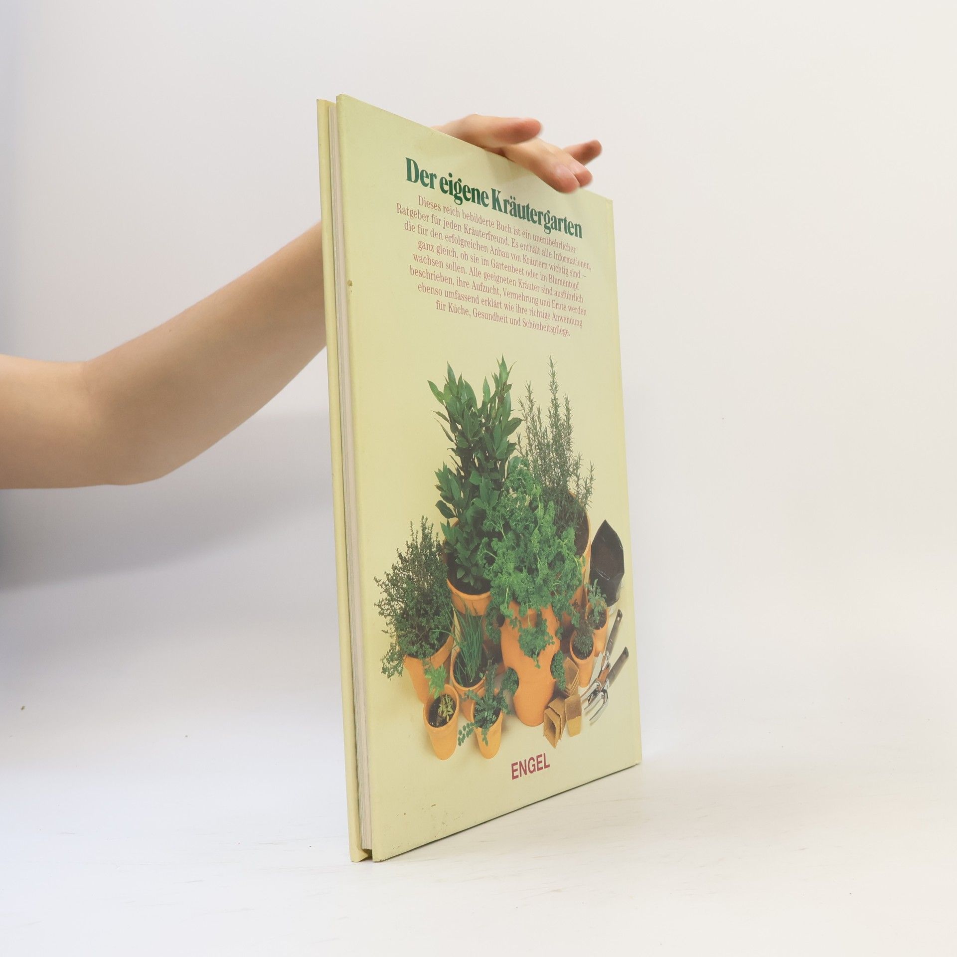 Autorenkollektiv Der eigene Kräutergarten