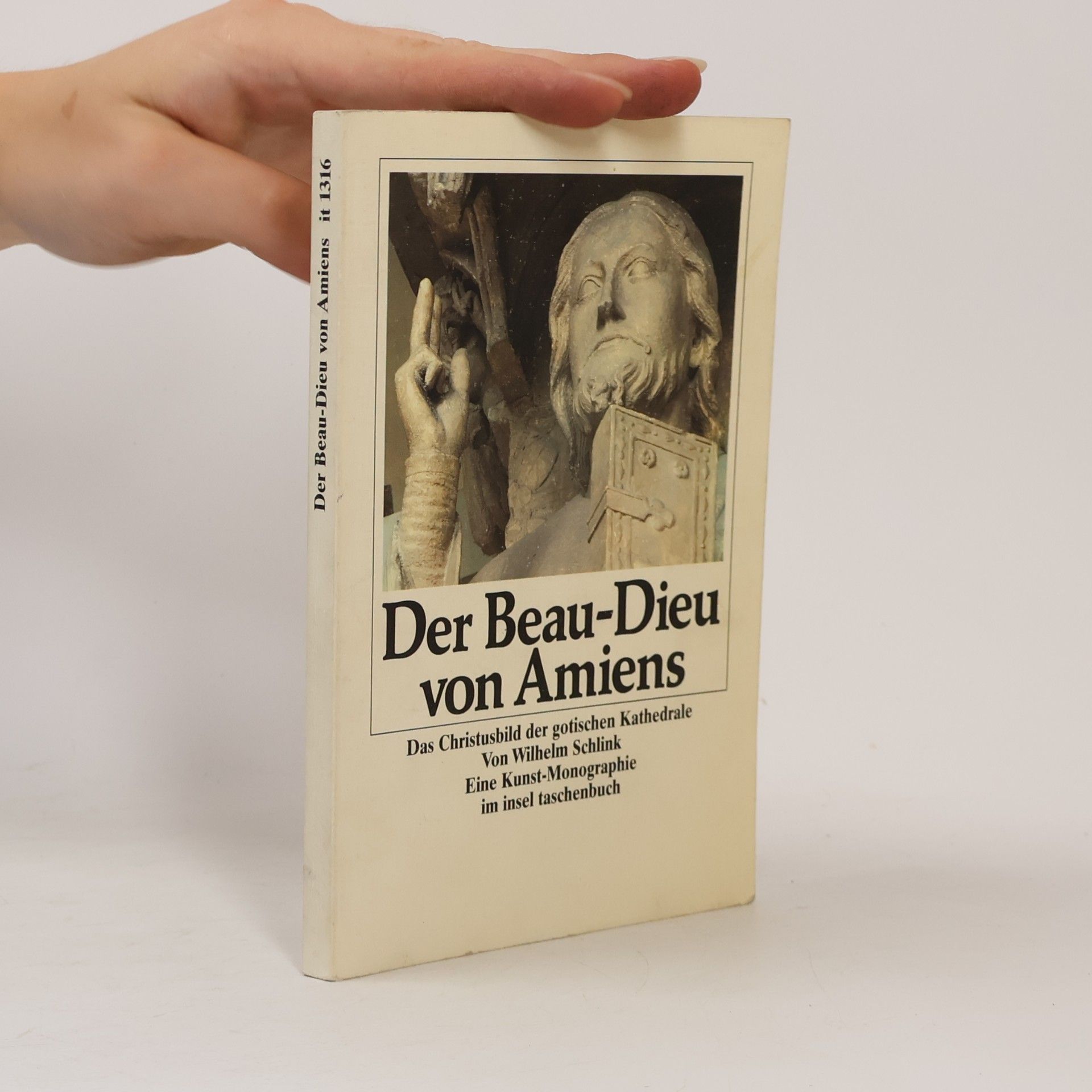 Der Beau-Dieu von Amiens
