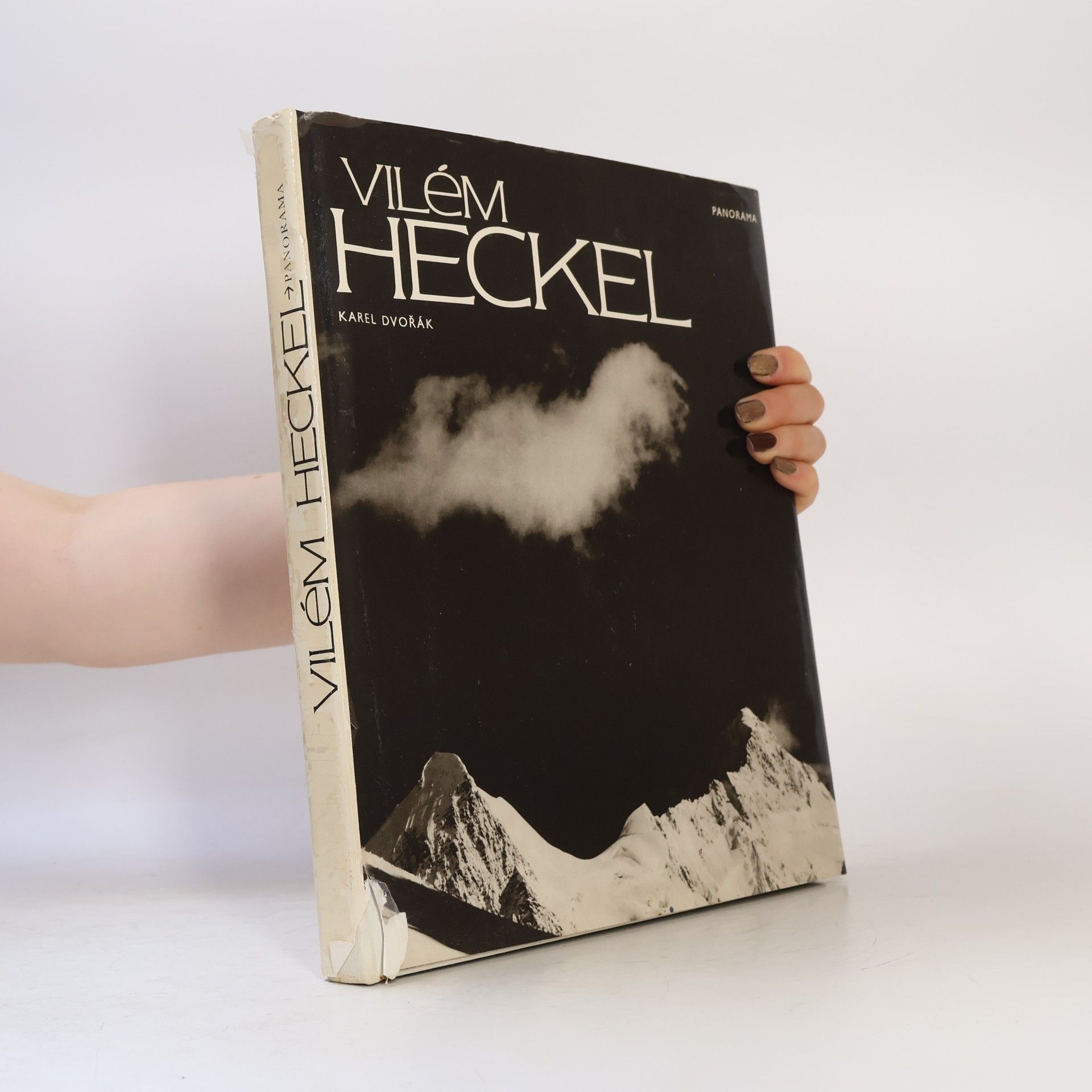 Vilém Heckel Vilém Heckel