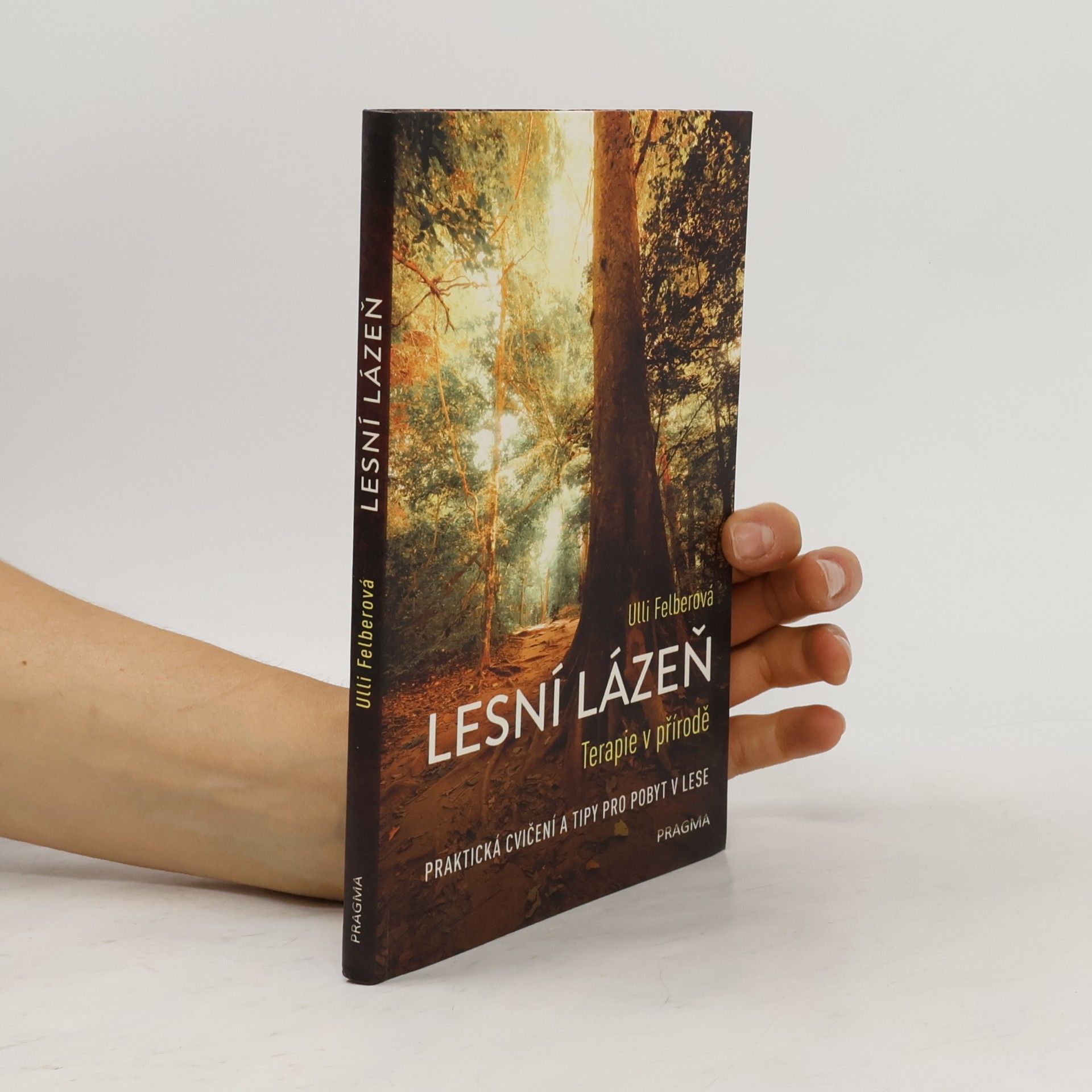 Ulli Felber Lesní lázeň - Terapie v přírodě