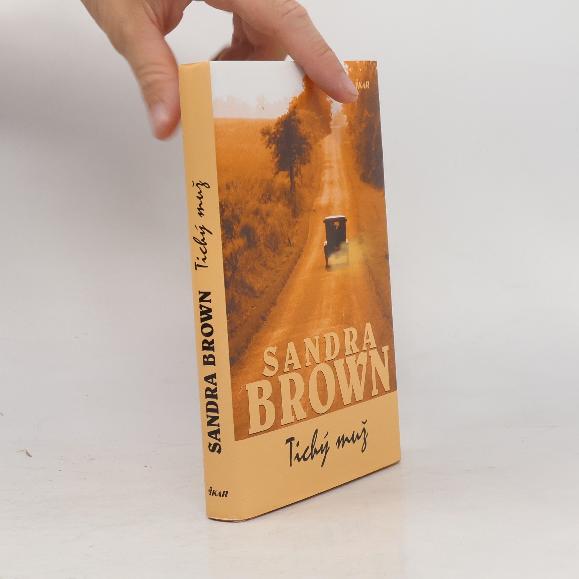 Sandra Brown Tichý muž