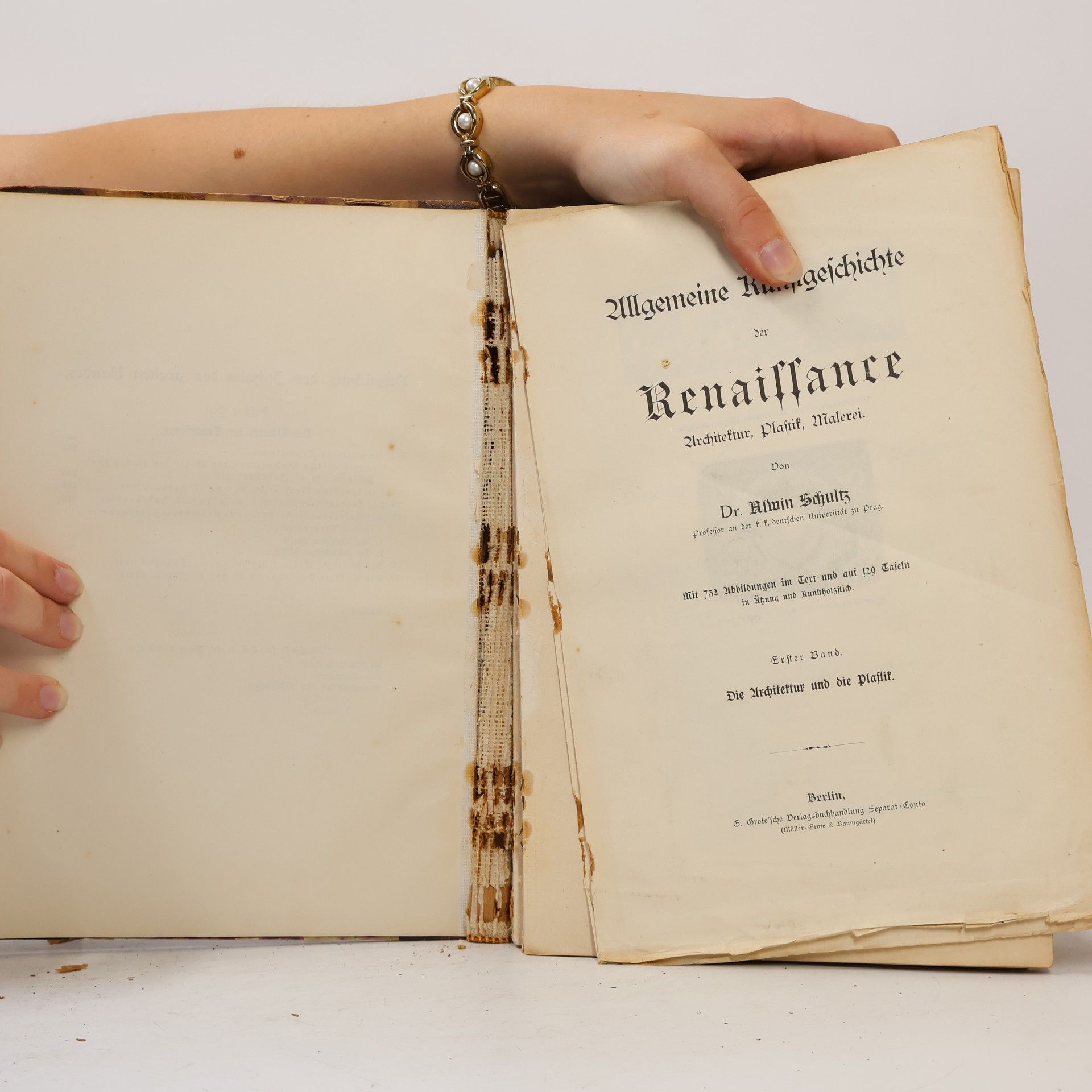 Alwin Schultz Allgemeine Kunstgeschichte der Renaissance 1