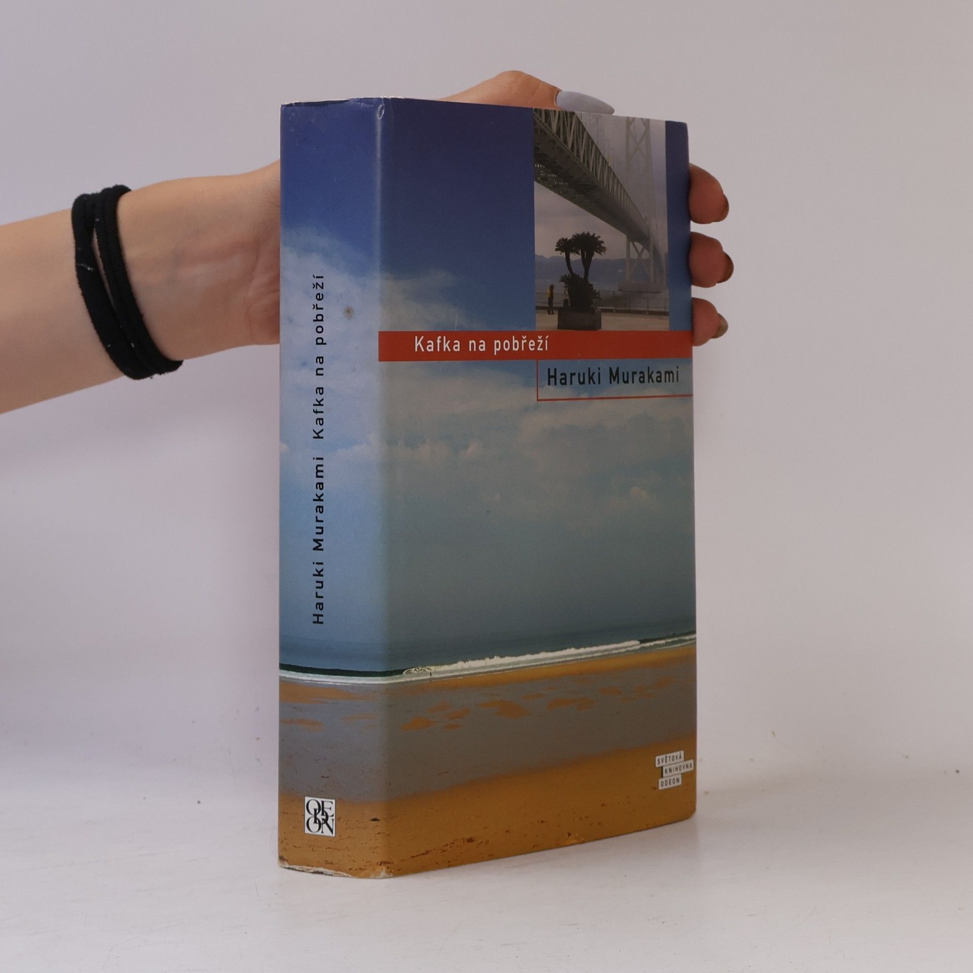 Haruki Murakami Kafka na pobřeží