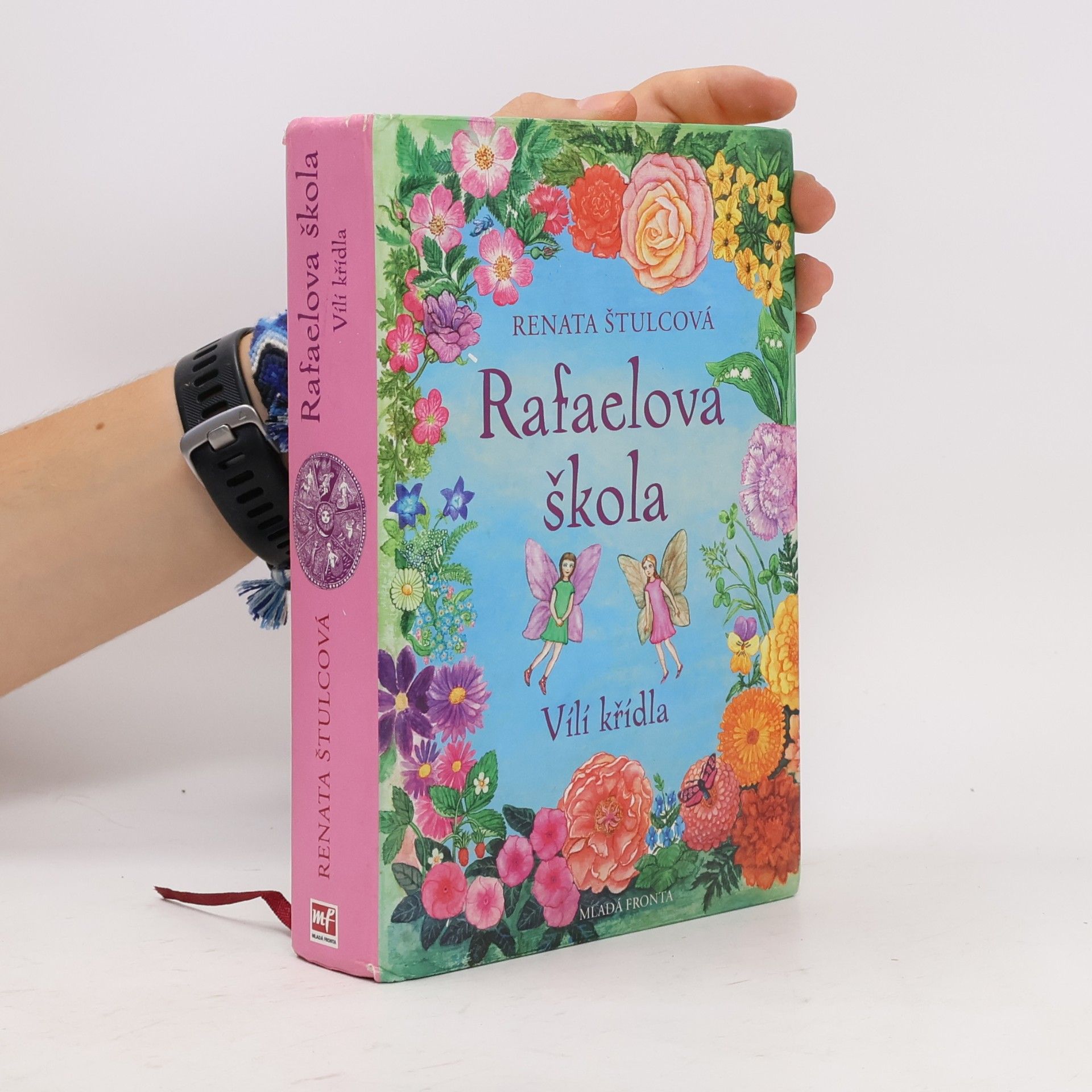 Renata Štulcová Rafaelova škola. Vílí křídla