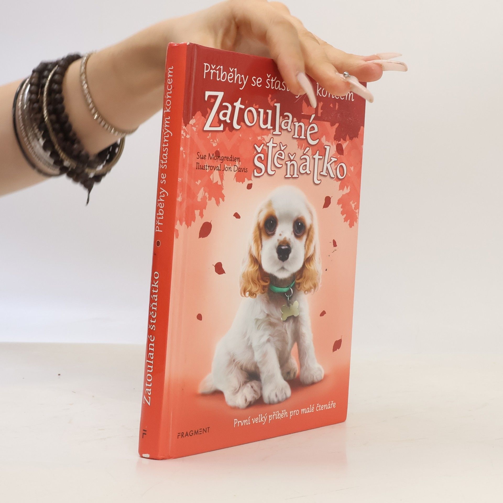 Lucy Diamond Zatoulané štěňátko
