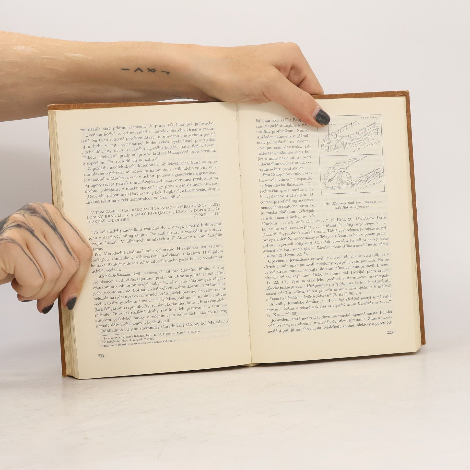Werner Keller A Biblia má predsa pravdu