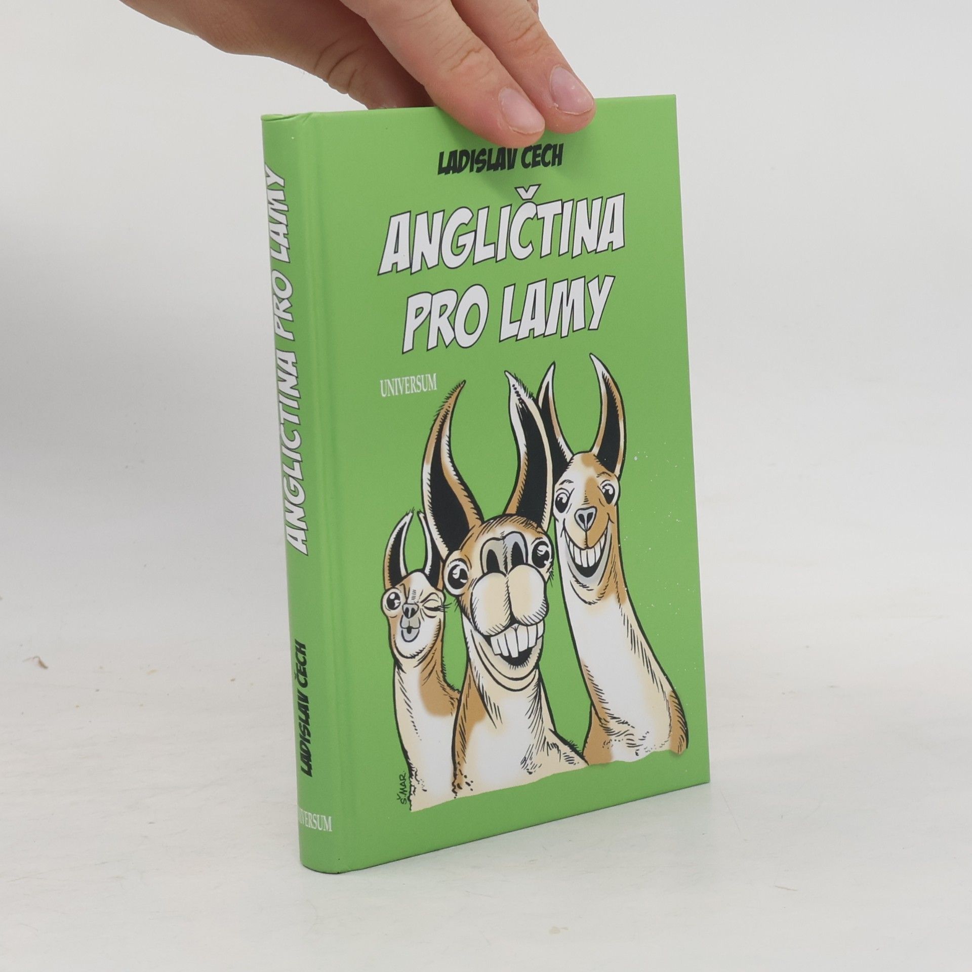 Ladislav Čech Angličtina pro lamy