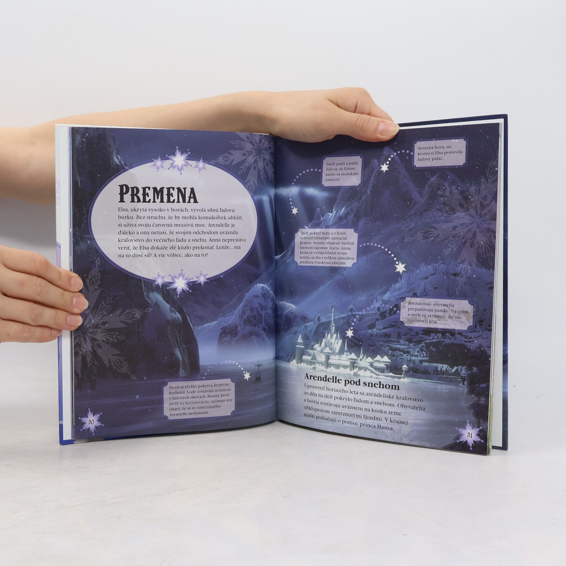 Barbara Bazaldua Frozen. Slovensky Ľadové kráľovstvo : obrazový sprievodca
