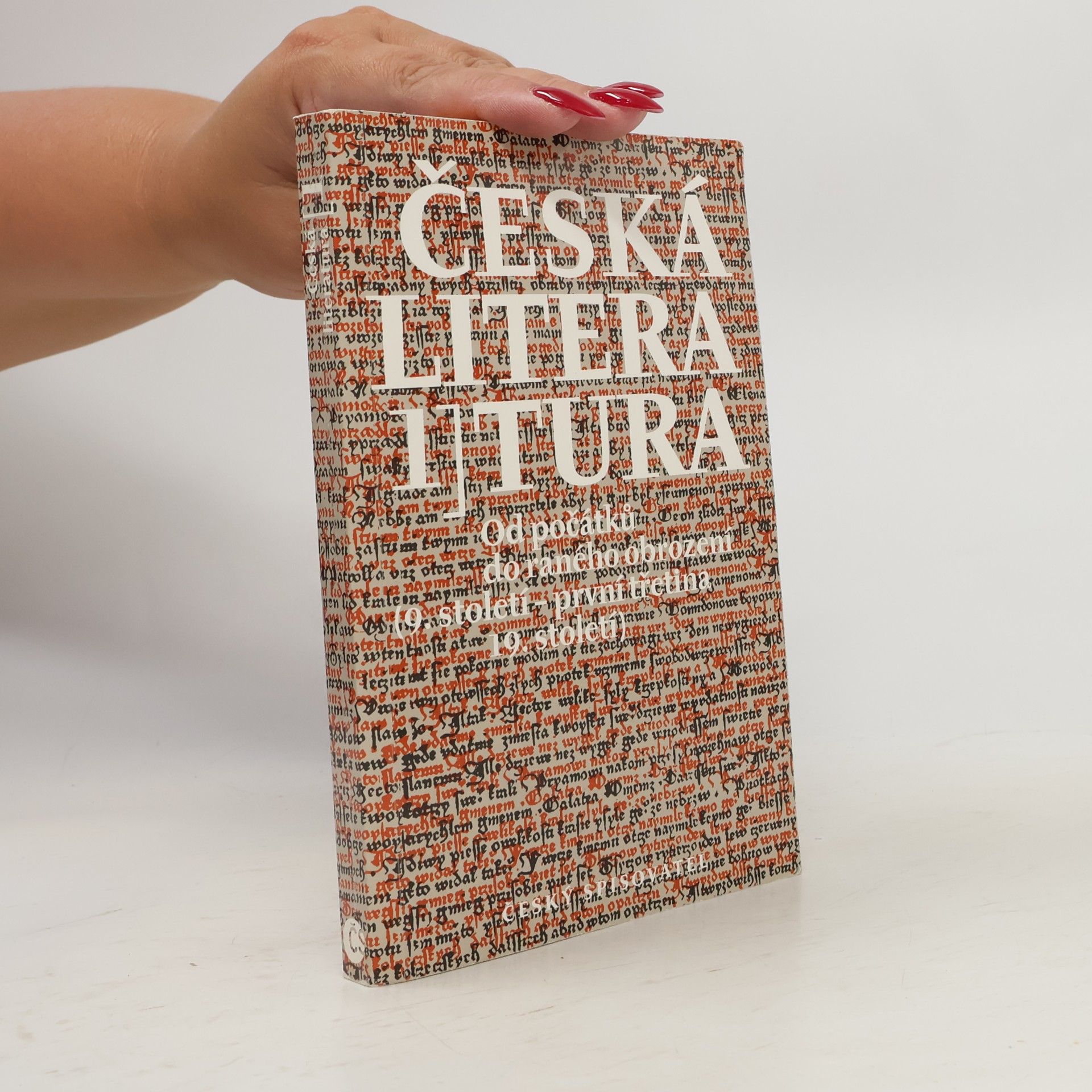 Česká literatura 1
