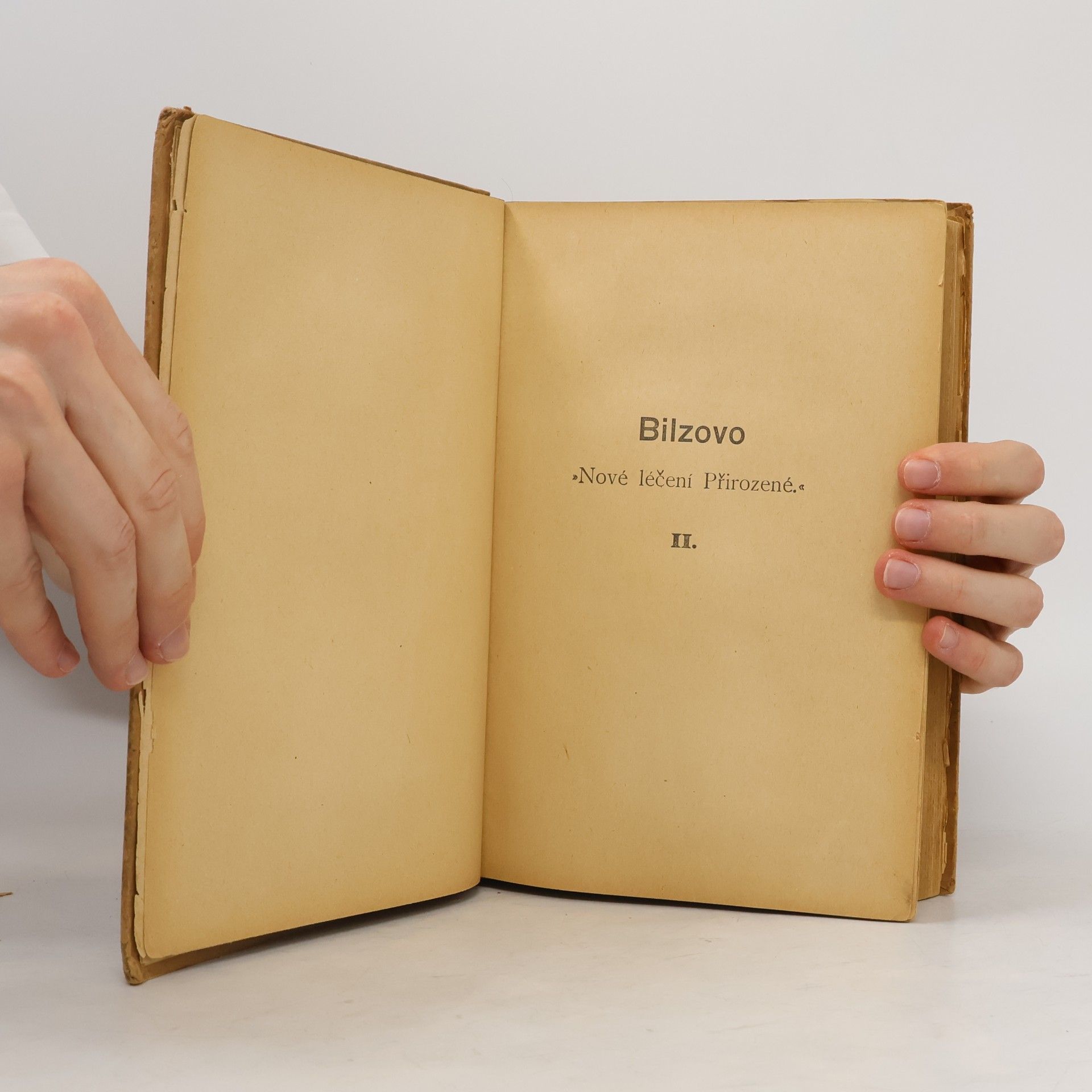 Friedrich Eduard Bilz Bilzovo Nové léčení přirozené II.