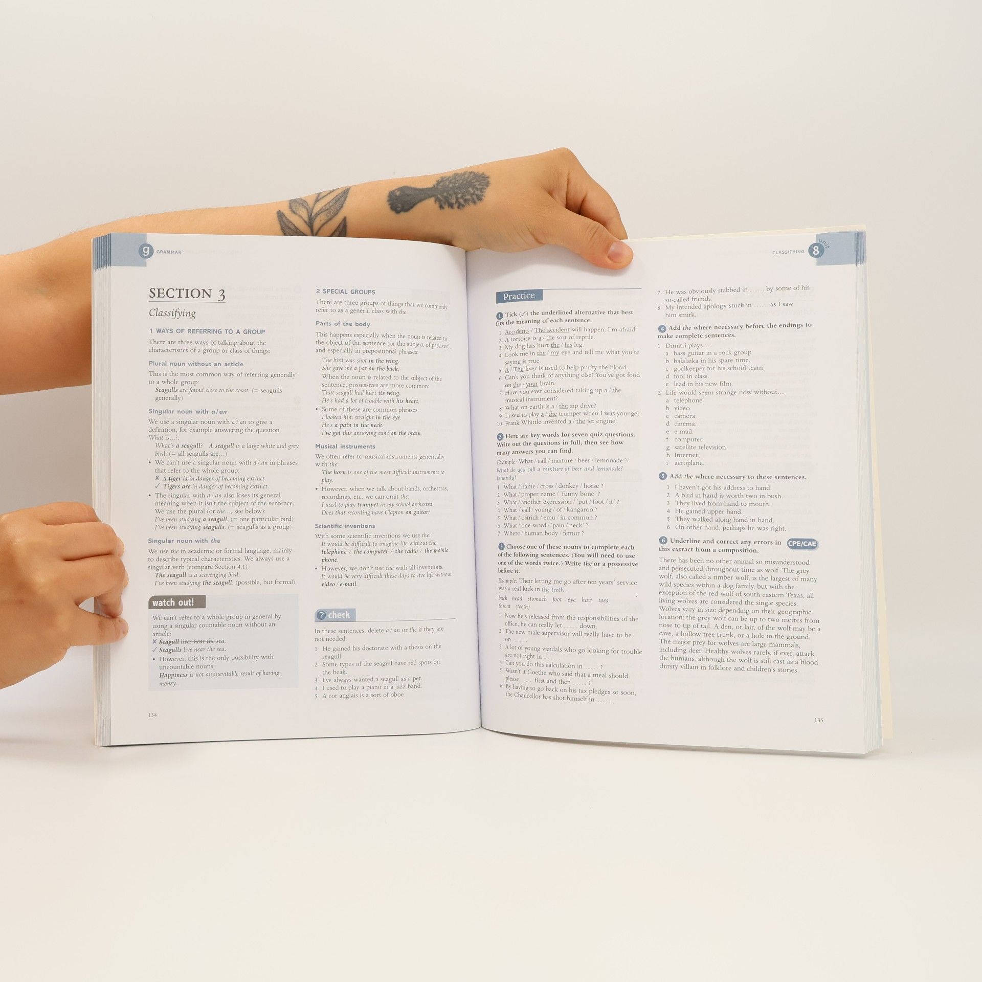 Richard Side Grammar and Vocabulary for Cambridge Advanced and Proficiency