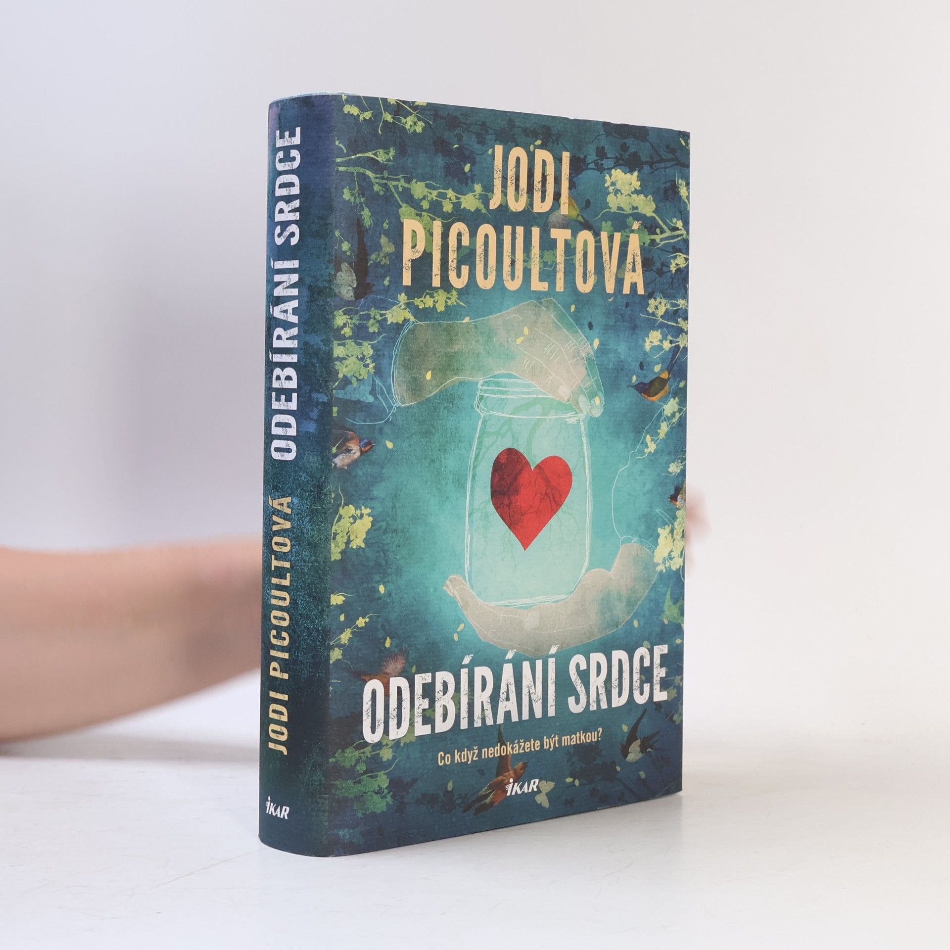 Jodi Picoult Odebírání srdce