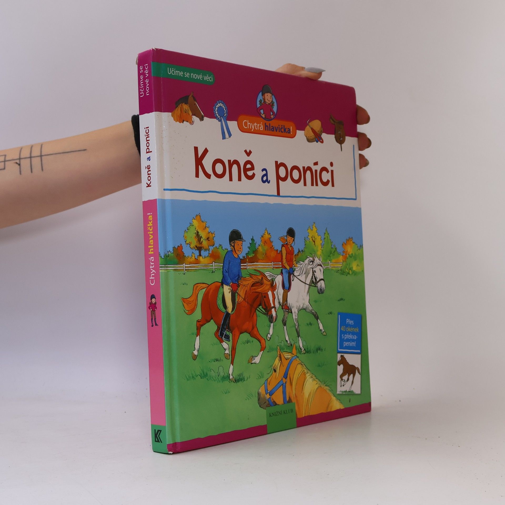 Astrid Vohwinkel Koně a poníci