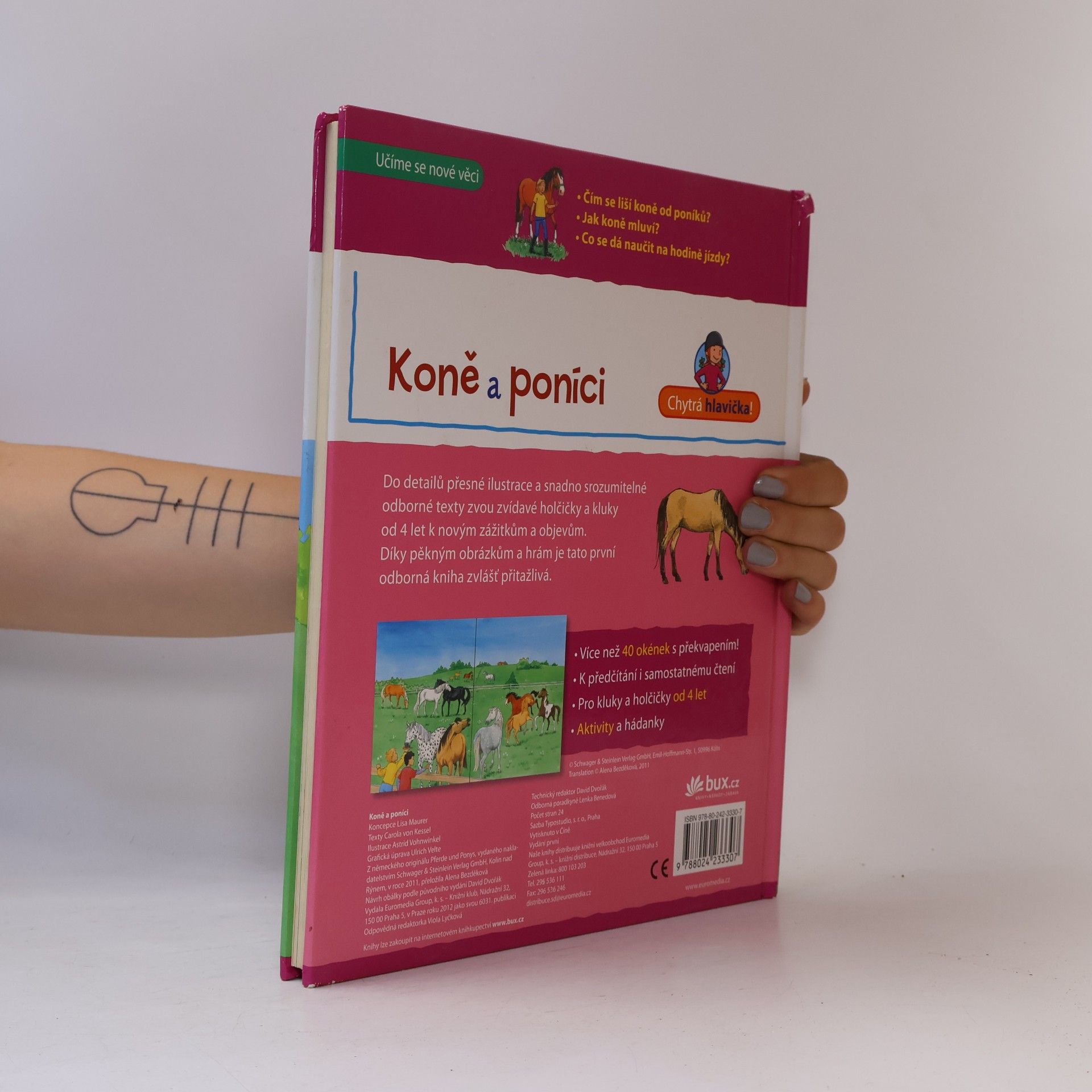 Lisa Maurer Koně a poníci