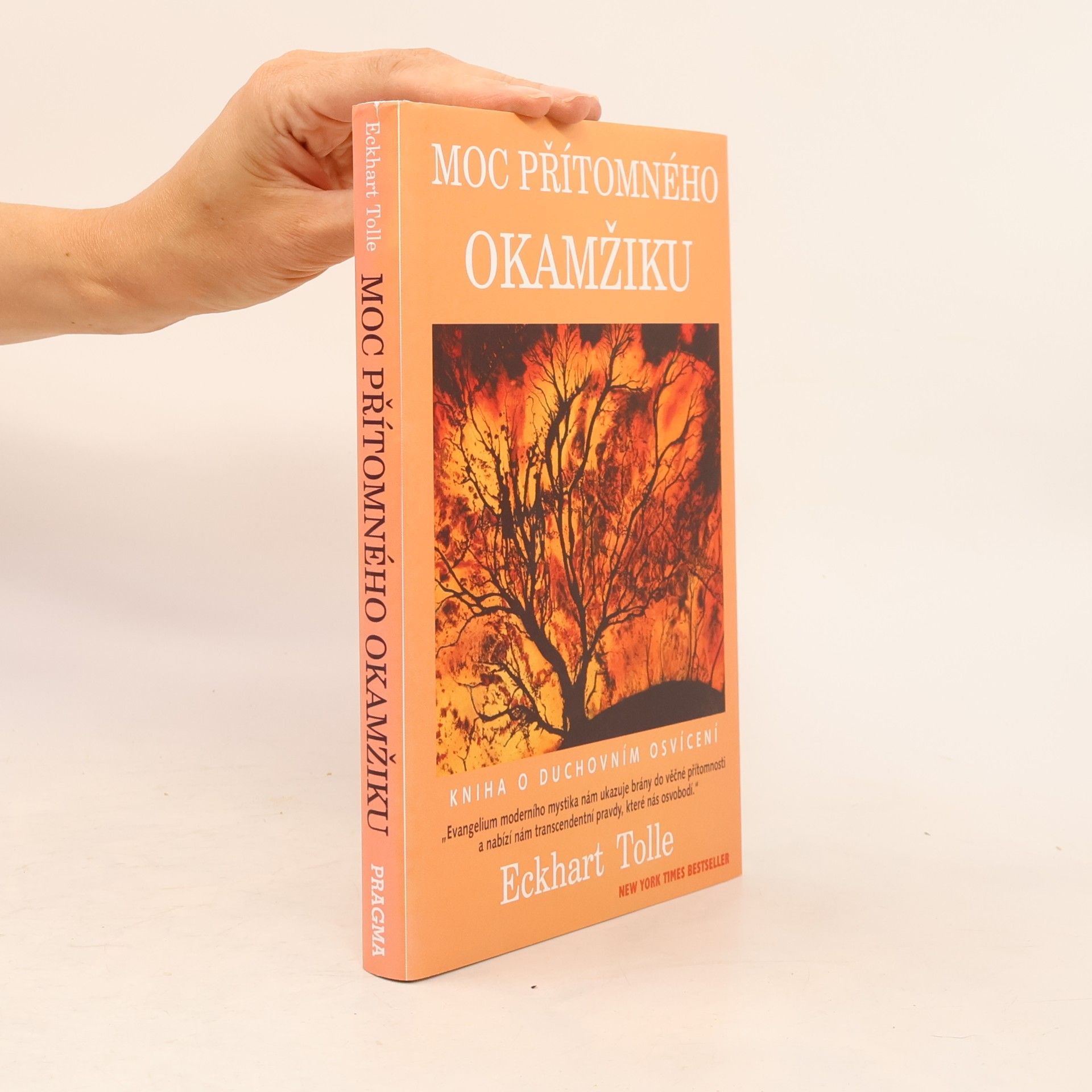 Eckhart Tolle Moc přítomného okamžiku