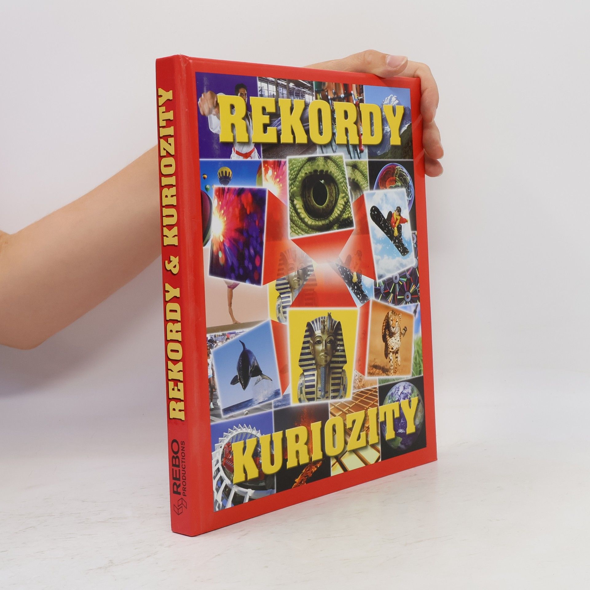Ivana Rybecká Rekordy & kuriozity