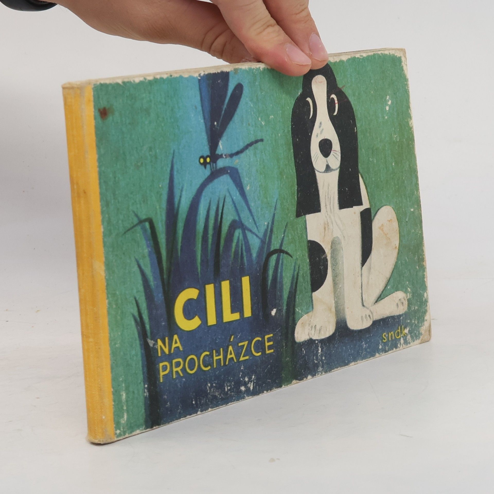 Karel Kilberger Cili na procházce