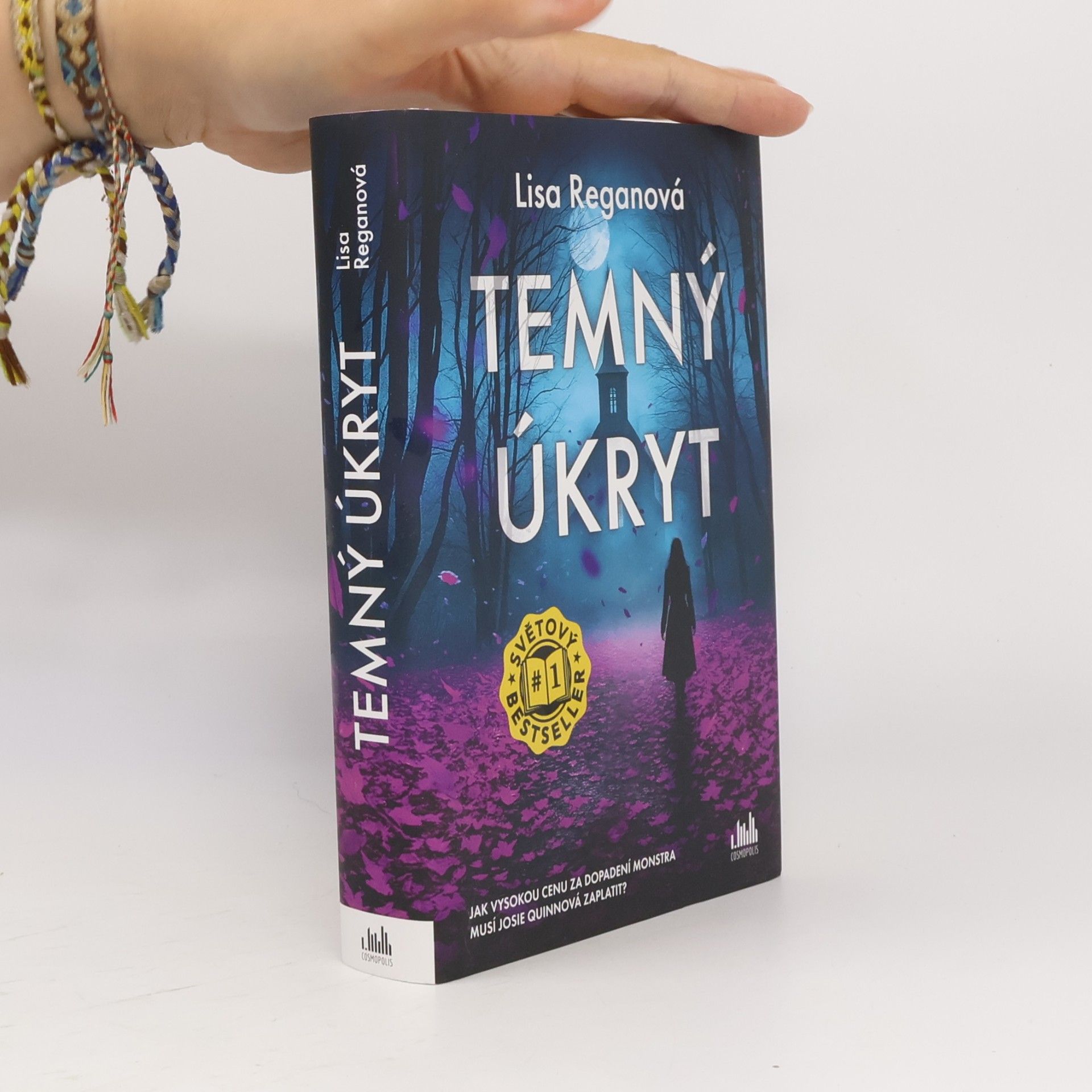 Lisa Regan Temný úkryt