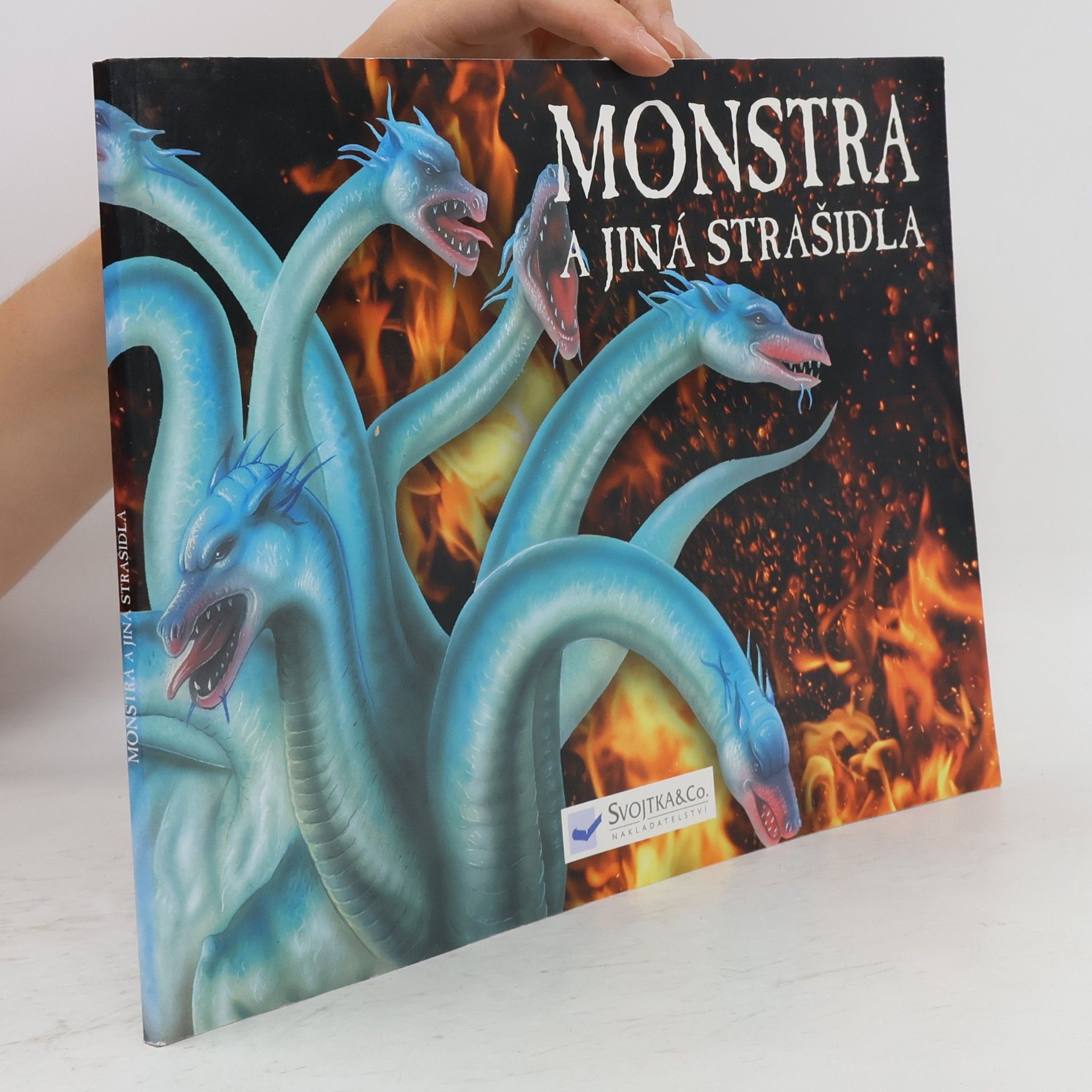 Gerrie McCall Monstra a jiná strašidla