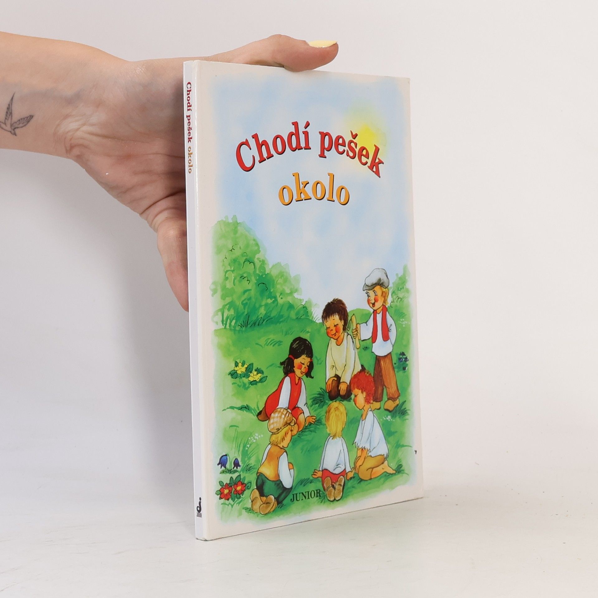 Vladimíra Vopičková Chodí pešek okolo (leporelo)