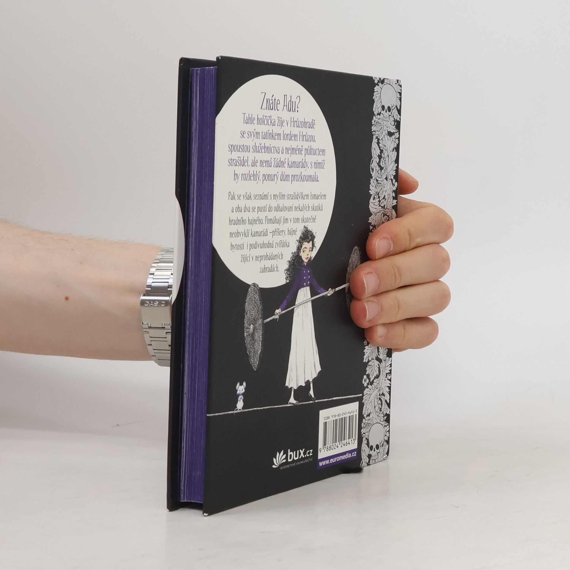 Chris Riddell Ada a myší strašidlo