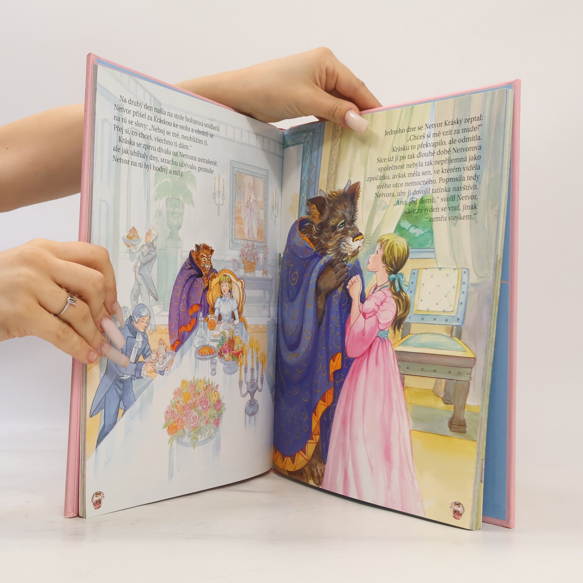 Auteurscollectief Pohádky o princeznách