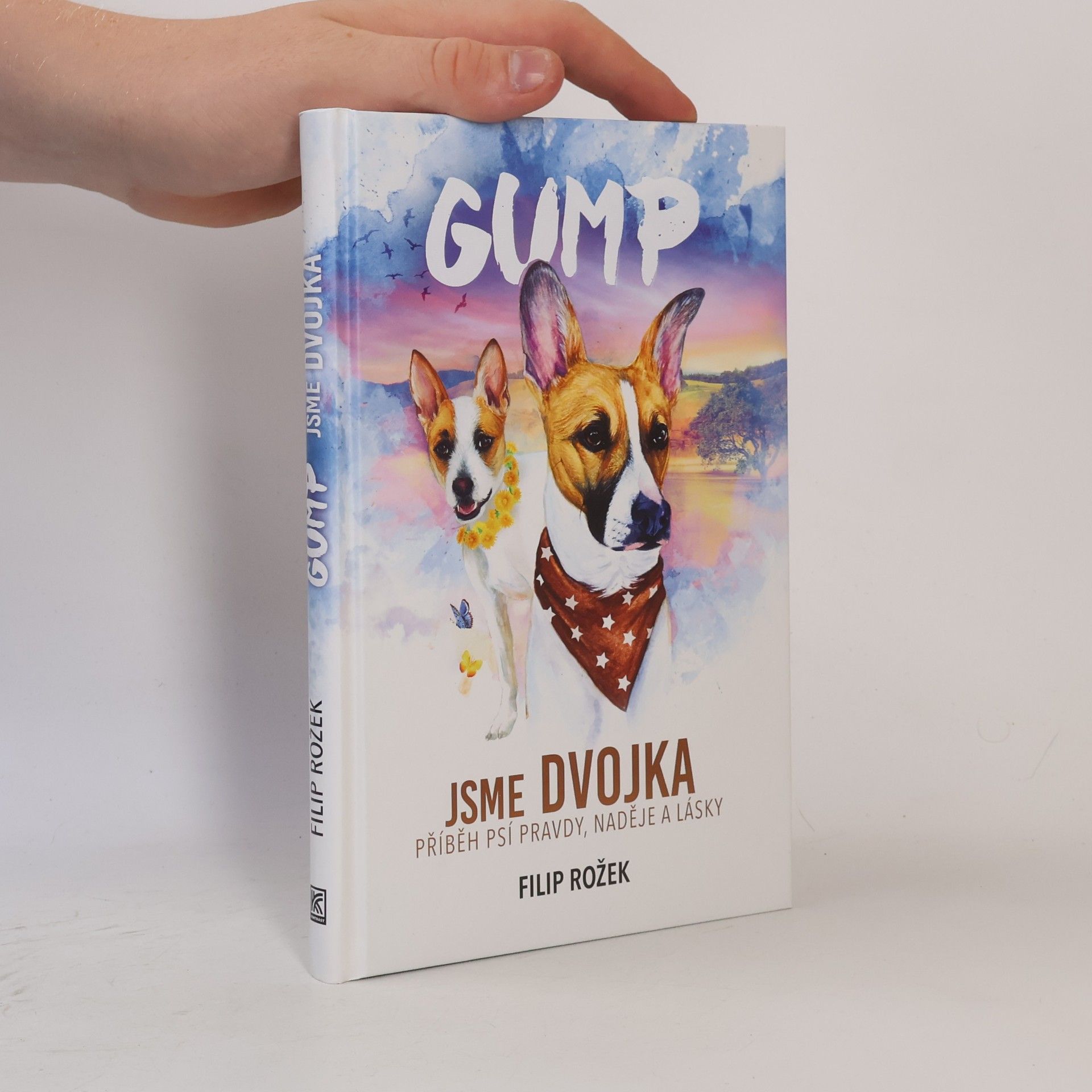 Filip Rožek Gump jsme dvojka: Příběh psí pravdy, naděje a lásky