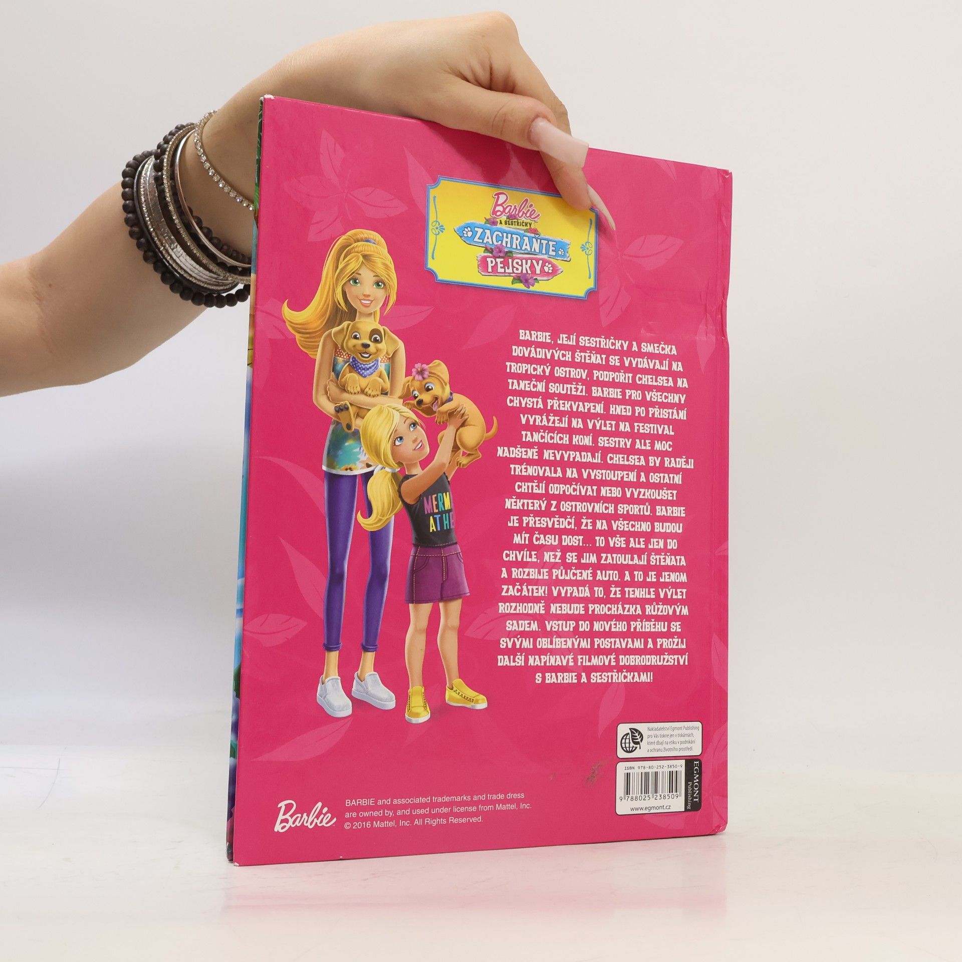 Kolektiv autorů Barbie a sestřičky - Zachraňte pejsky