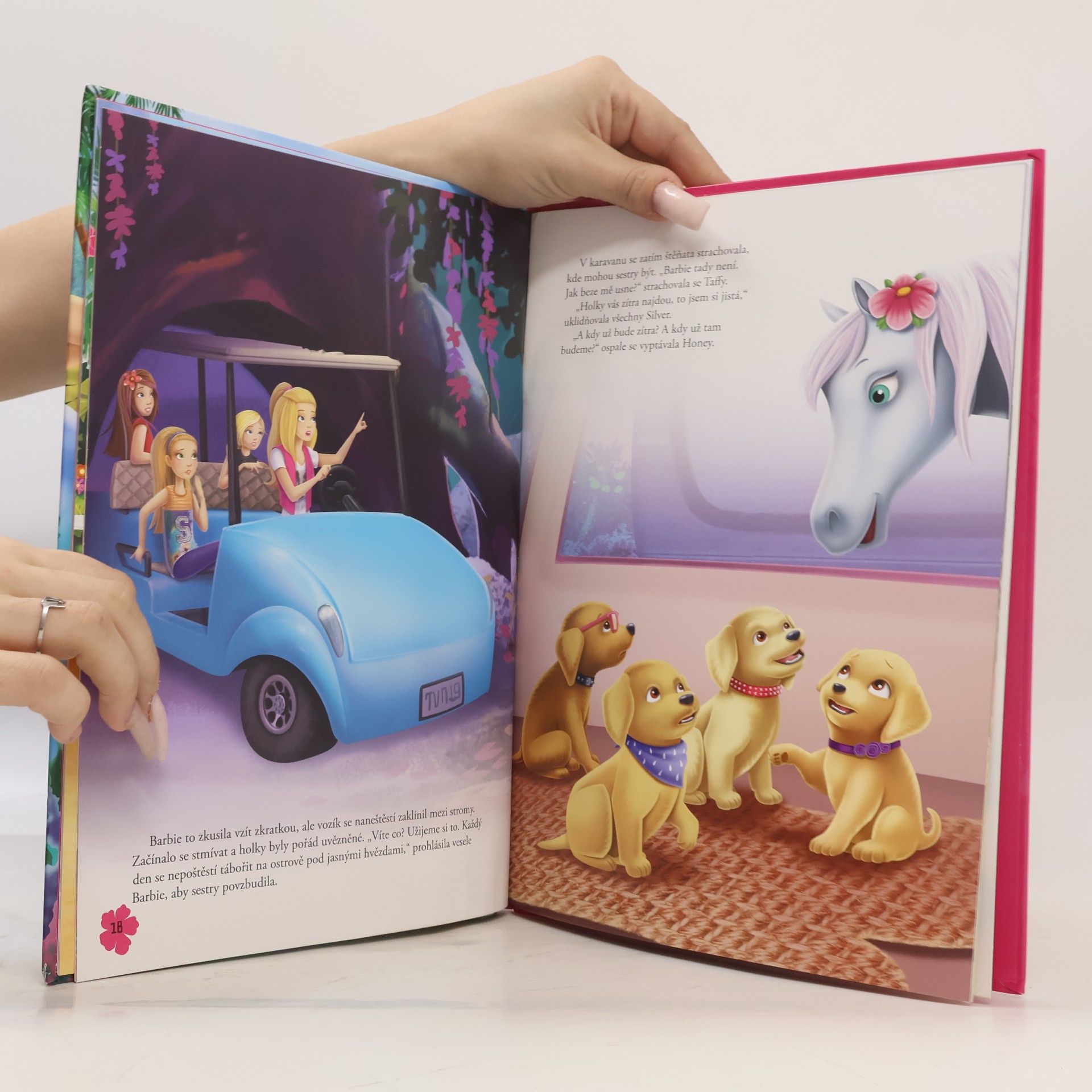 Kolektiv autorů Barbie a sestřičky - Zachraňte pejsky