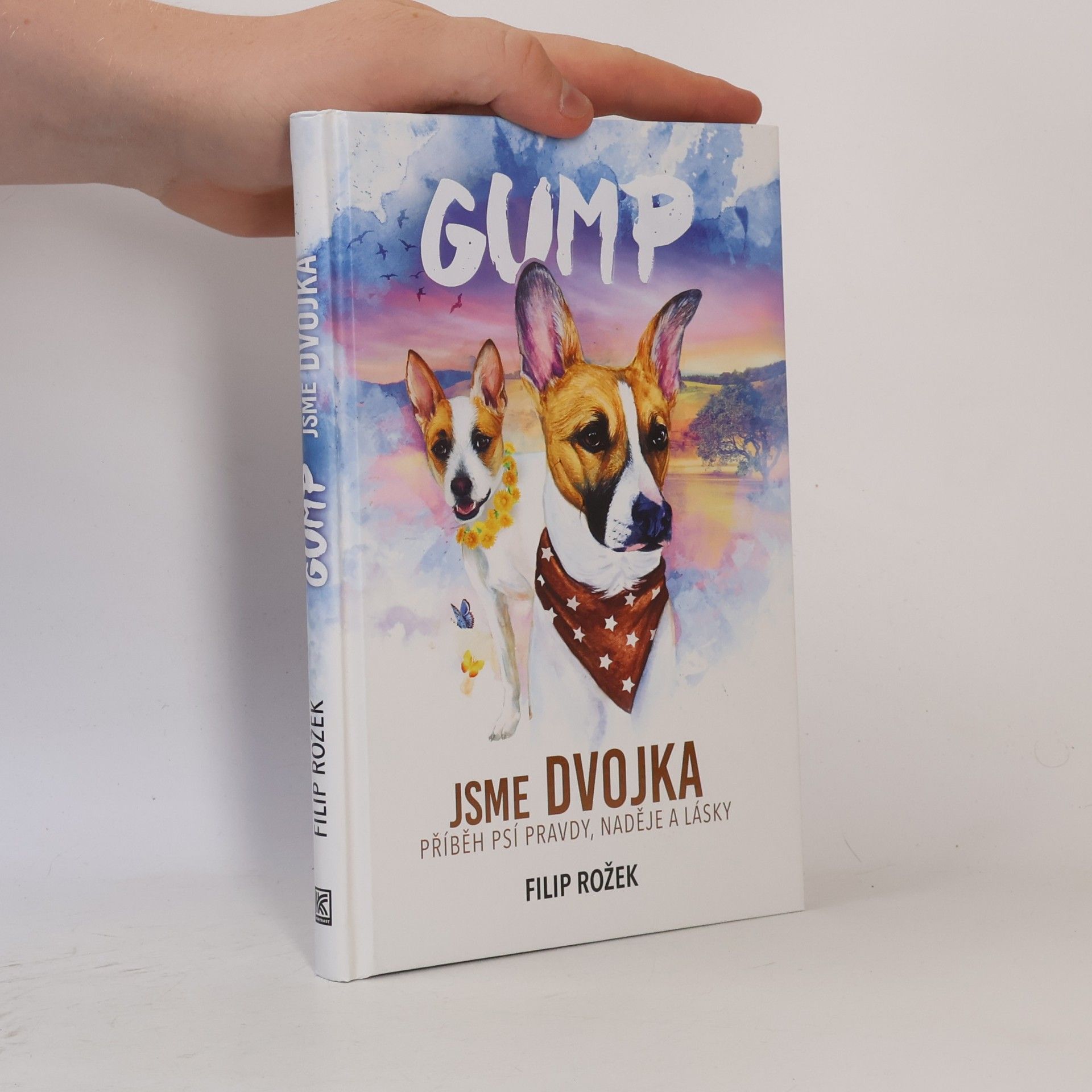 Filip Rožek Gump jsme dvojka: Příběh psí pravdy, naděje a lásky