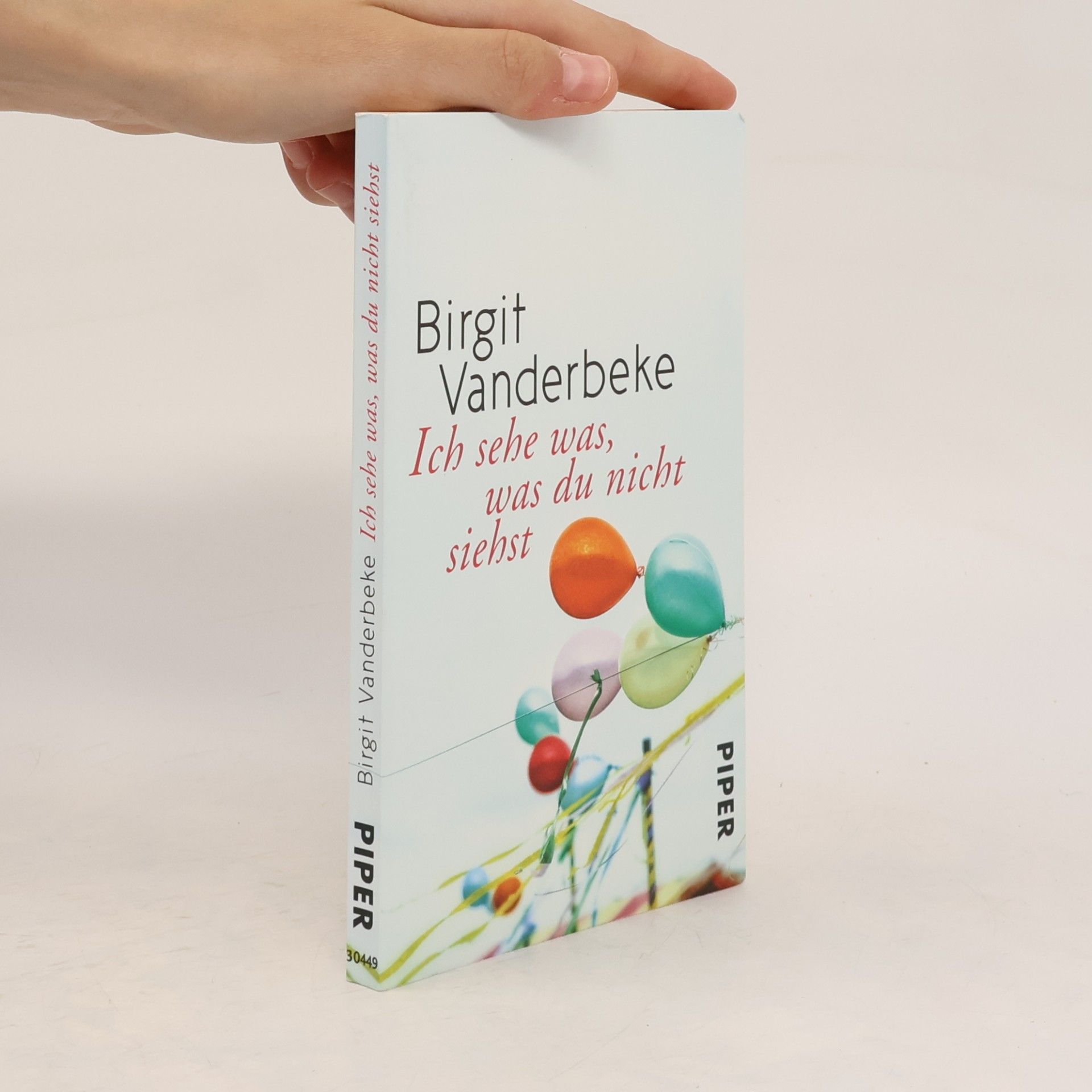 Birgit Vanderbeke Ich sehe was, was du nicht siehst