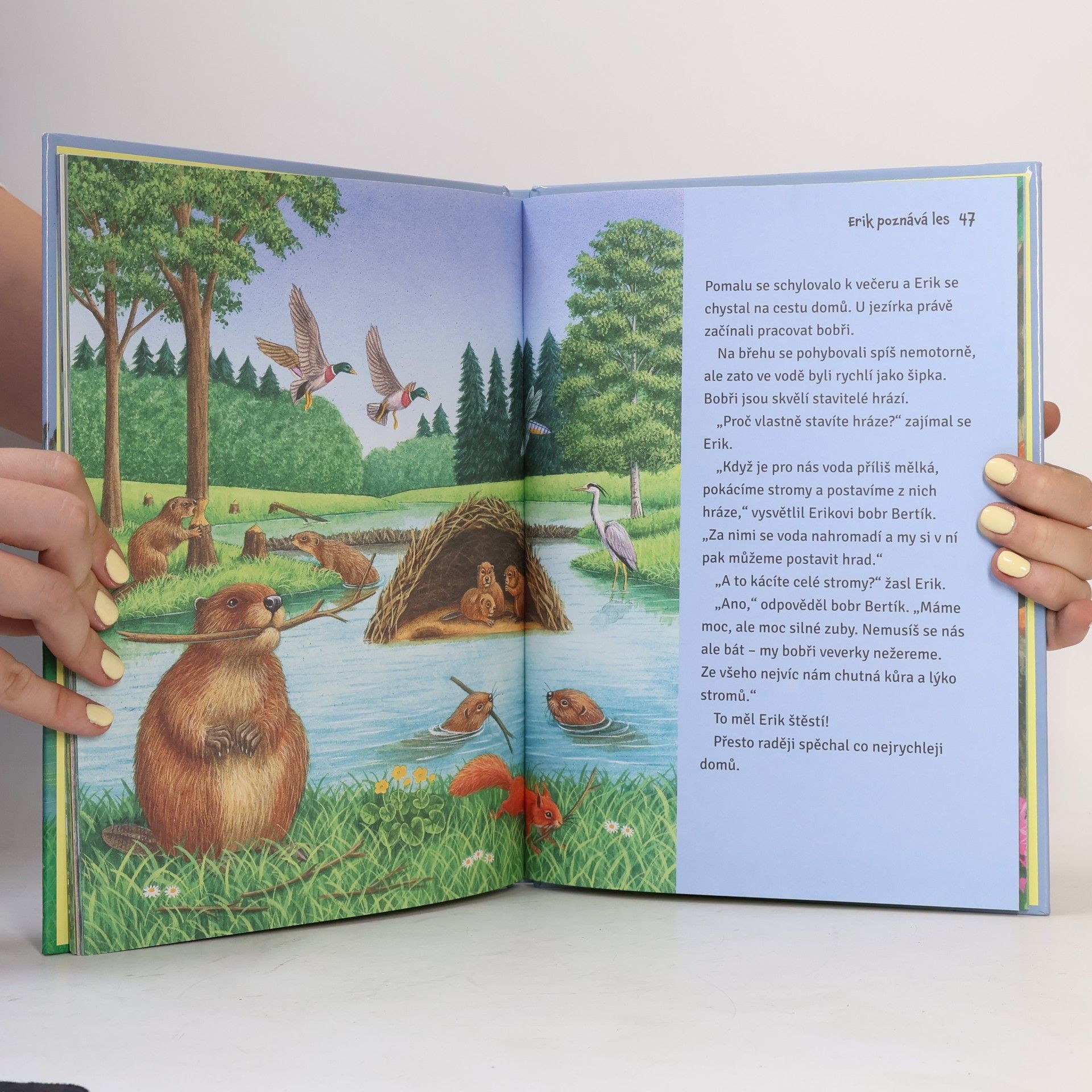 Bob Bampton Proč má ježek bodliny? Děti se ptají, zvířátka odpovídají