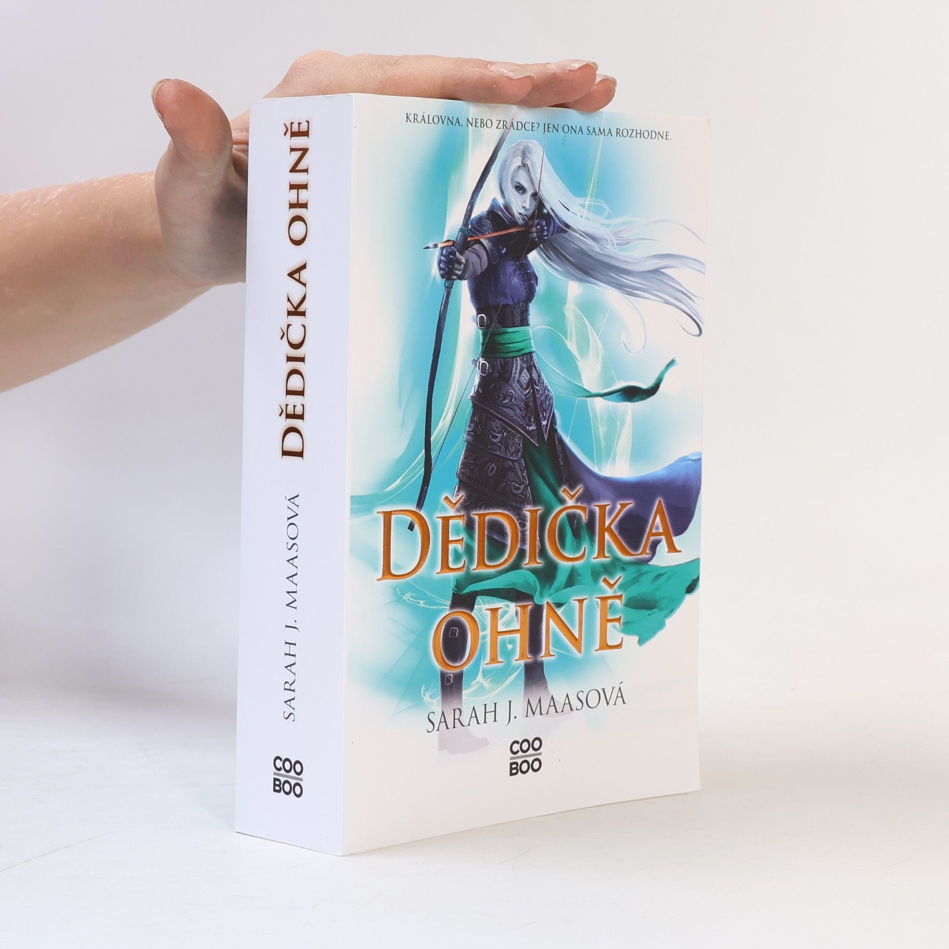 Sarah J. Maas Dědička ohně