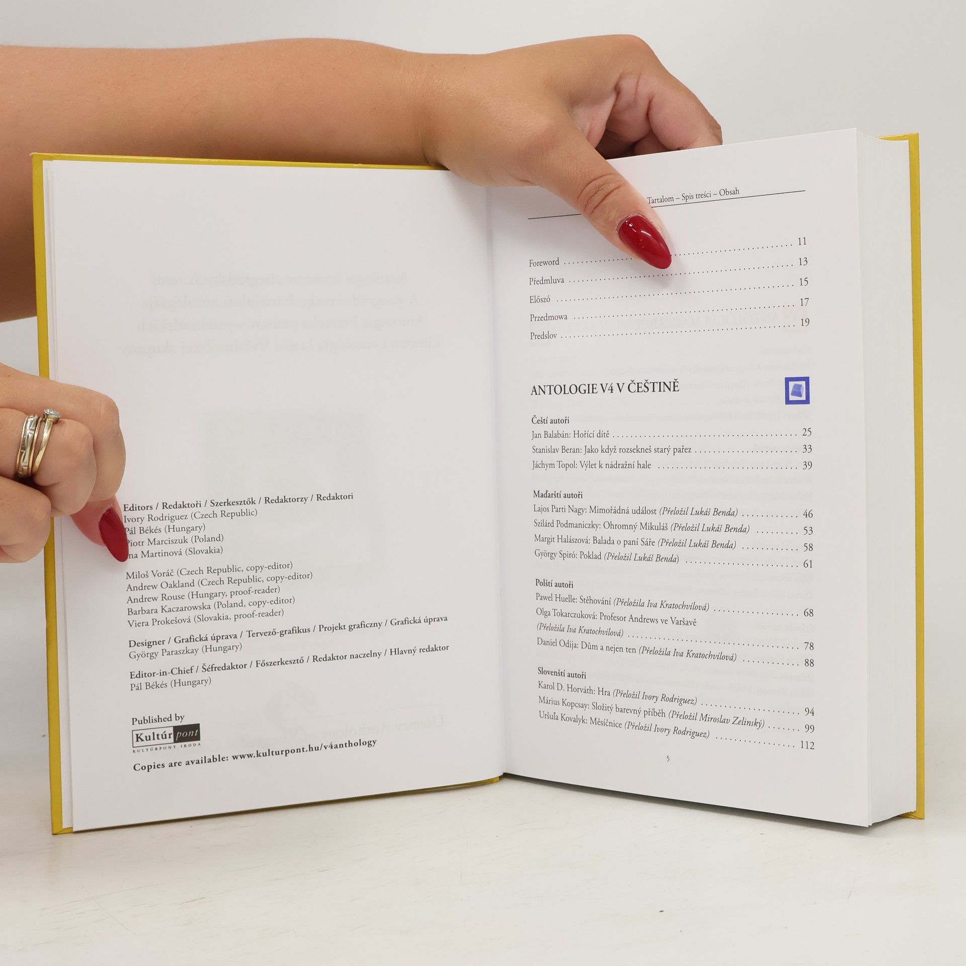 Ivory Rodriguez Literary Anthology of Visegrad 4 Countries - Antologie literatur visegrádských zemí - A visegrádi országok irodalmi antológiája - Antologia literacka państw wyszehradzkich - Literárna antológia krajín Vyšehradskej skupiny
