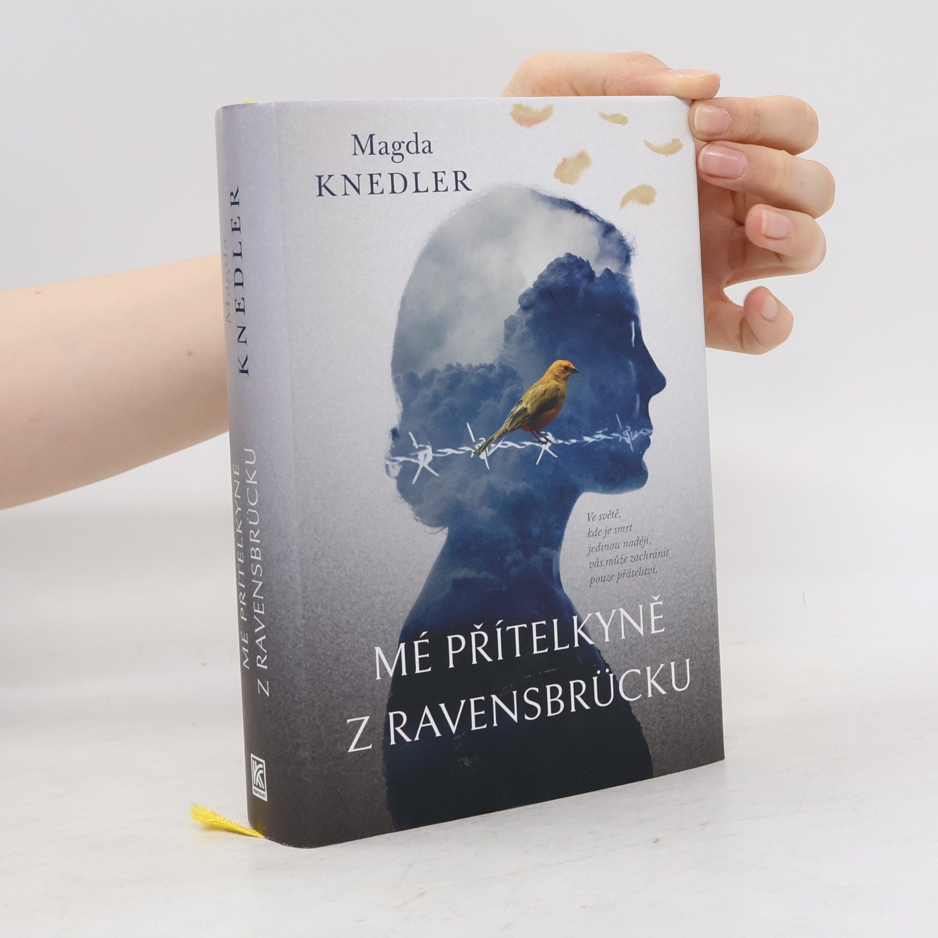 Magdalena Knedler Mé přítelkyně z Ravensbrücku