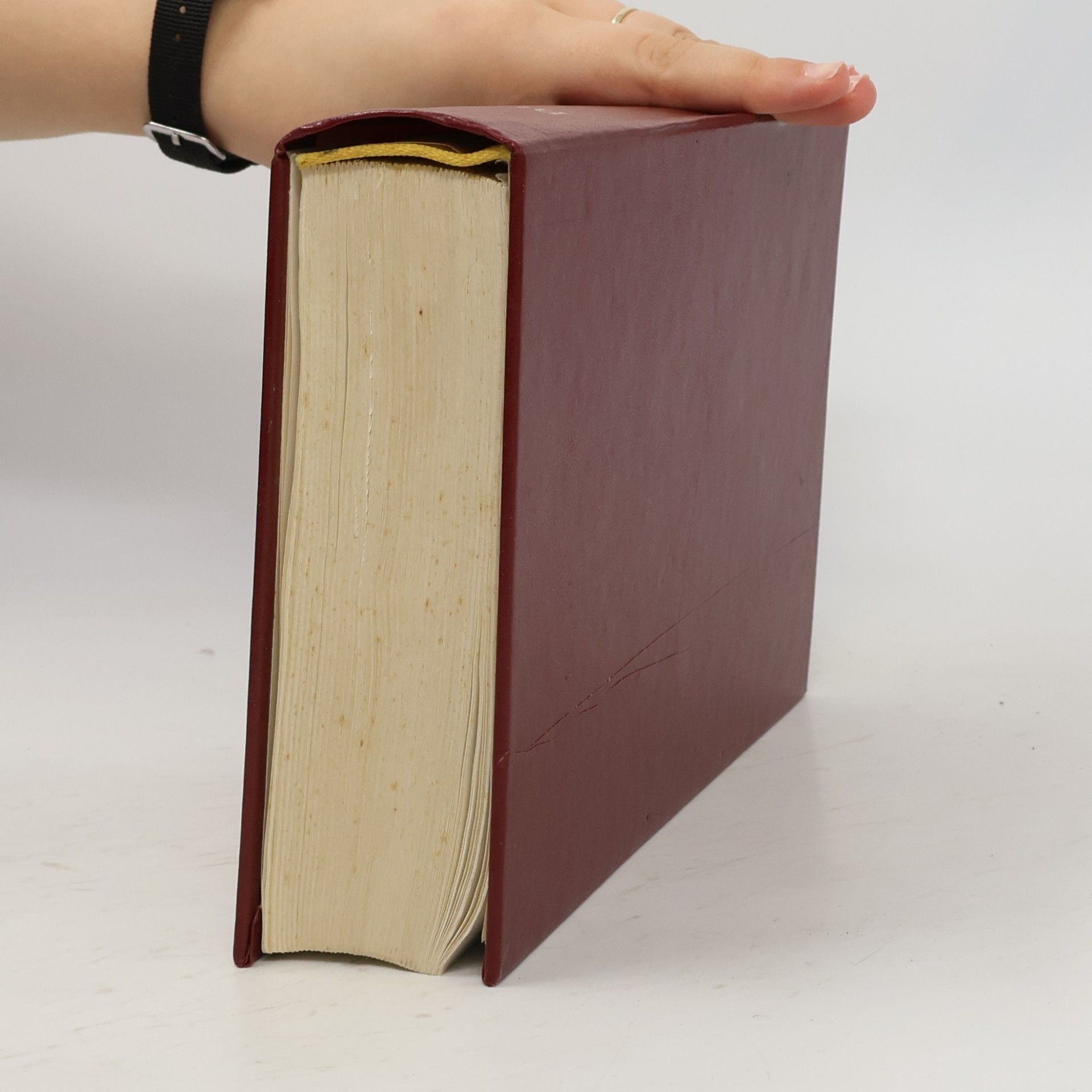 Various authors Bible. Písmo svaté Starého a Nového zákona