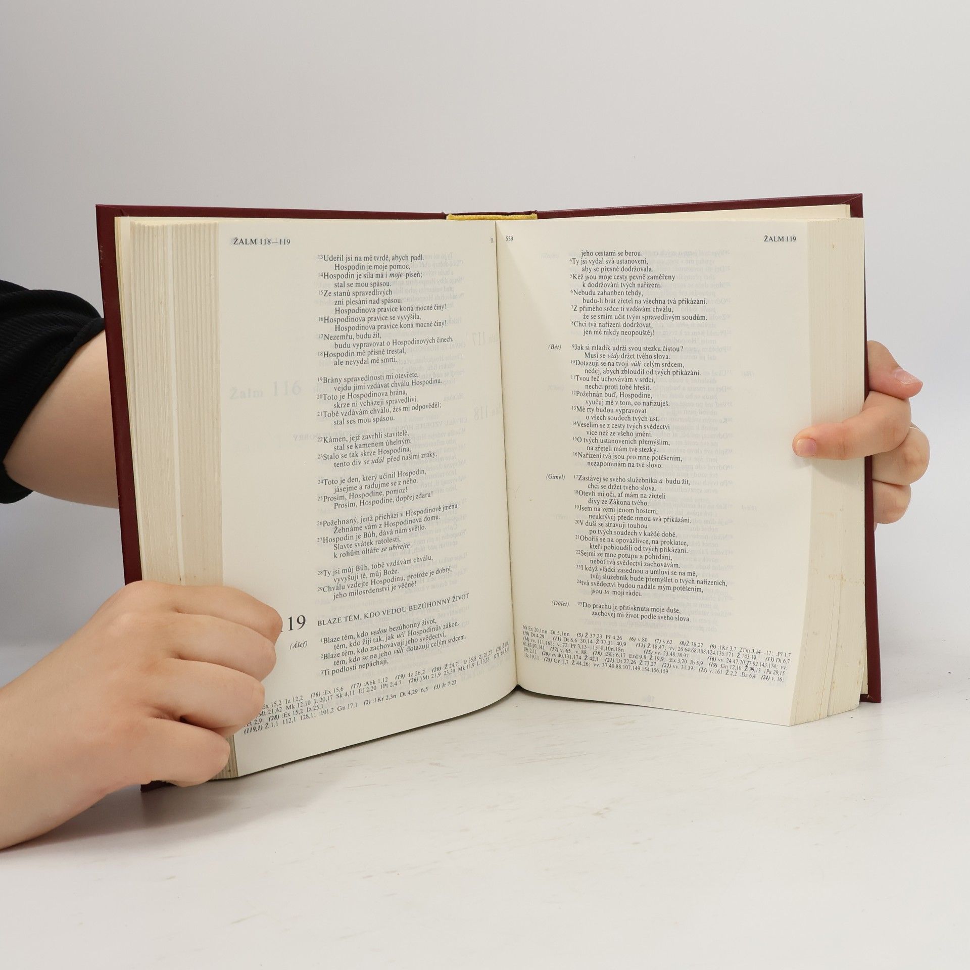 Various authors Bible. Písmo svaté Starého a Nového zákona