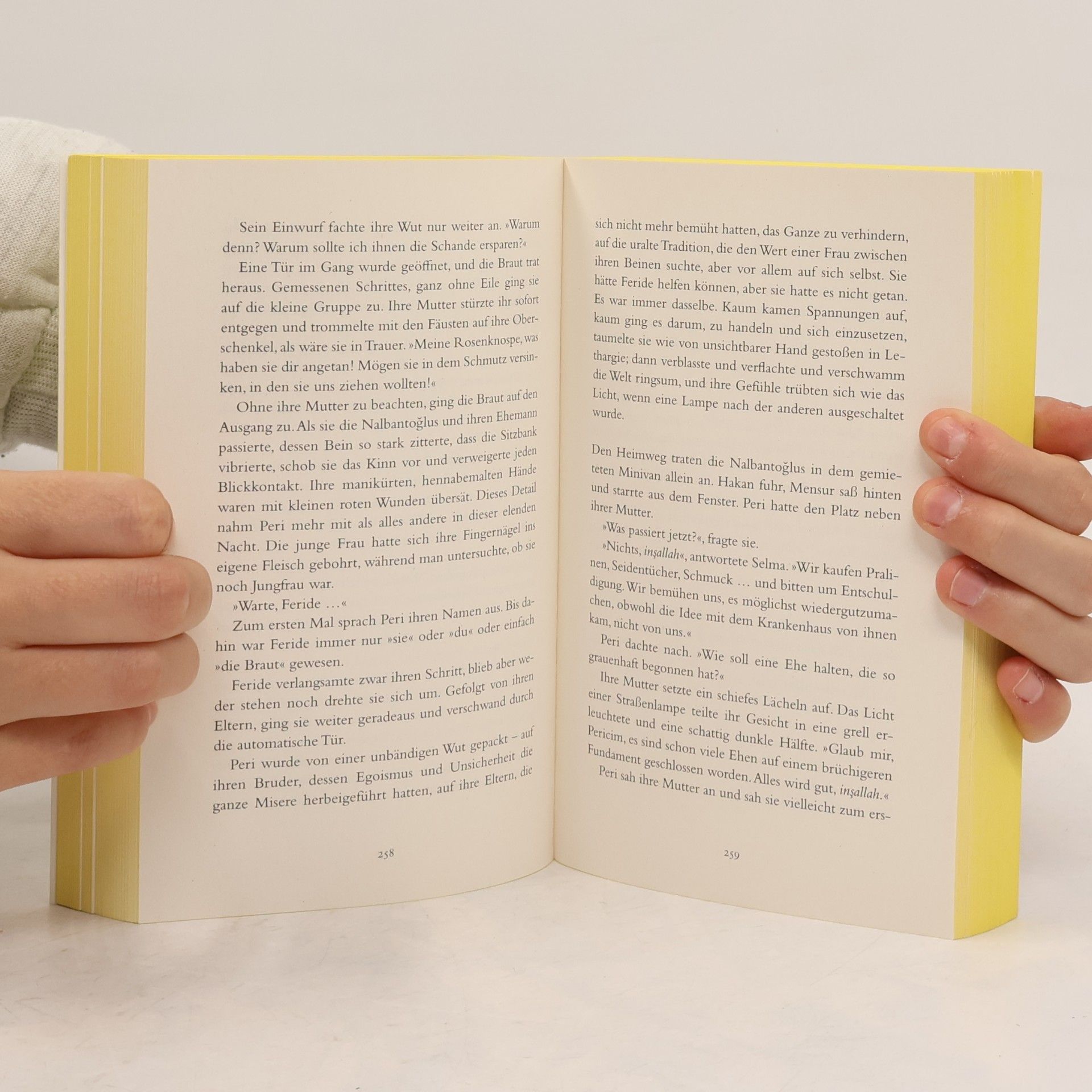 Elif Shafak Der Geruch des Paradieses