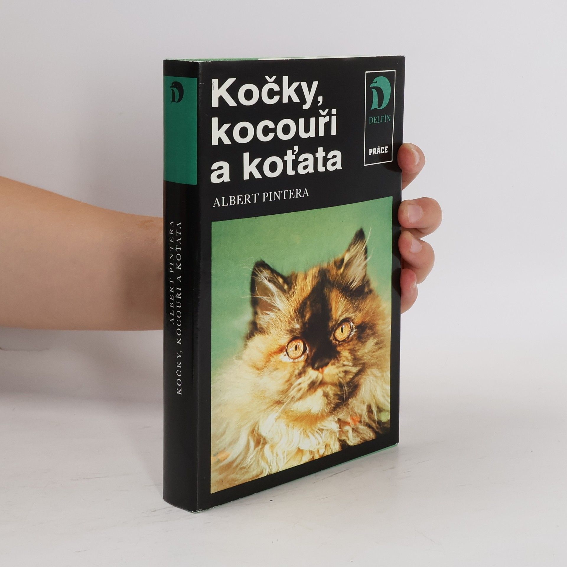 Albert Pintera Kočky, kocouři a koťata