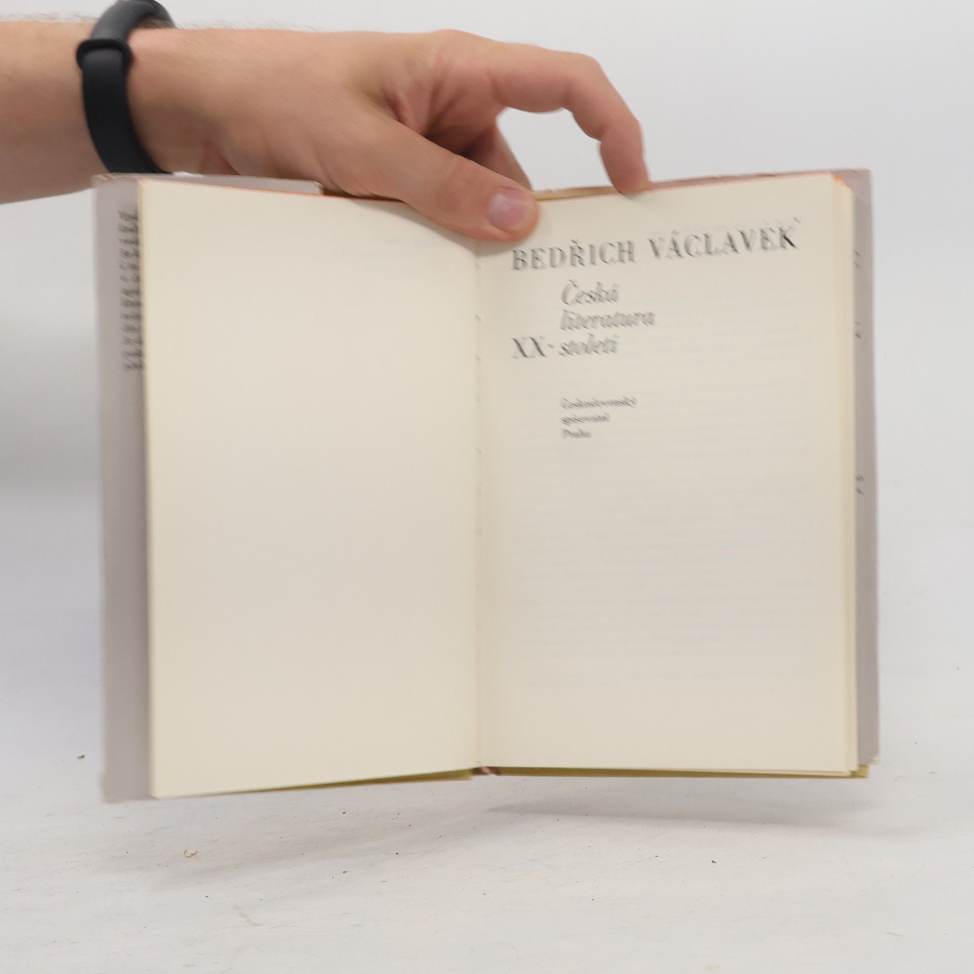 Bedřich Václavek Česká literatura XX. století